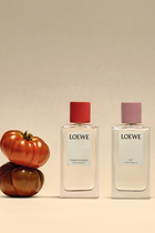 بخاخ معطر للغرف توماتو ليفز
