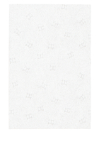 Plein Air Mattifying Papiers