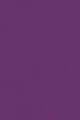 CHARMING LILAC