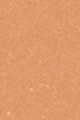 15N Light Medium - Yellow neutral undertones