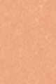 11W Light Medium - Peach warm undertones