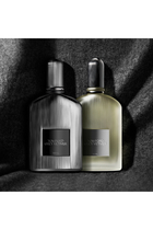 عطر جراي فيتيفر بخاخ