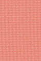 02 Light Coral