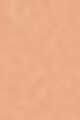 2N22 - Nude