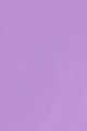 Matte Lilac