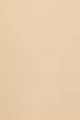 WN 80 Tawnied Beige
