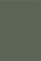 Black/Green