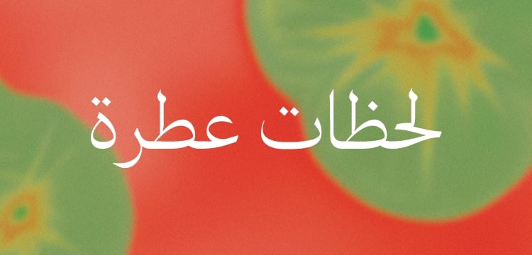 WK01_26-PLPBanner-BTY-Extravaganza