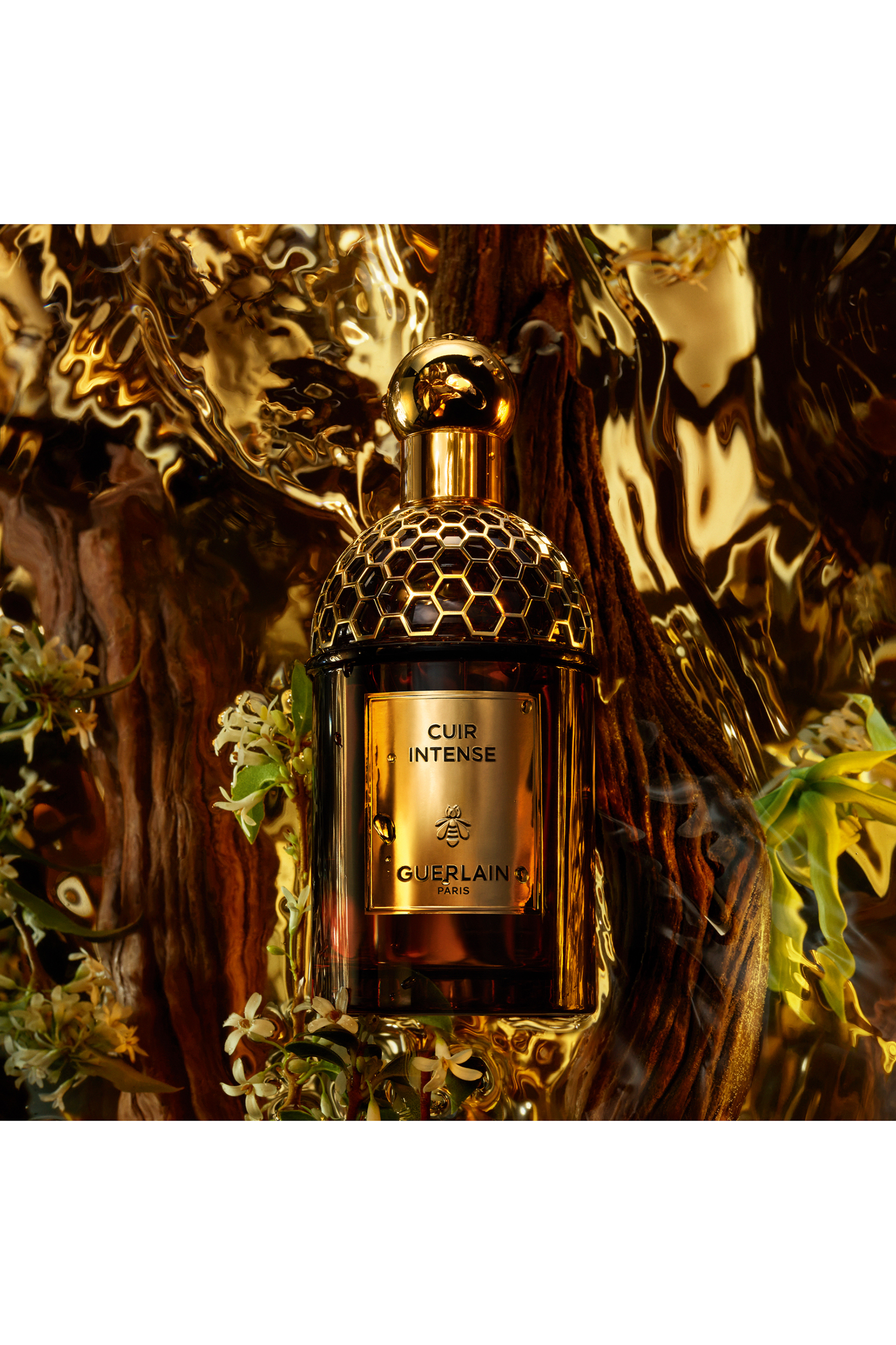 أو دو بارفان كوير إنتنس