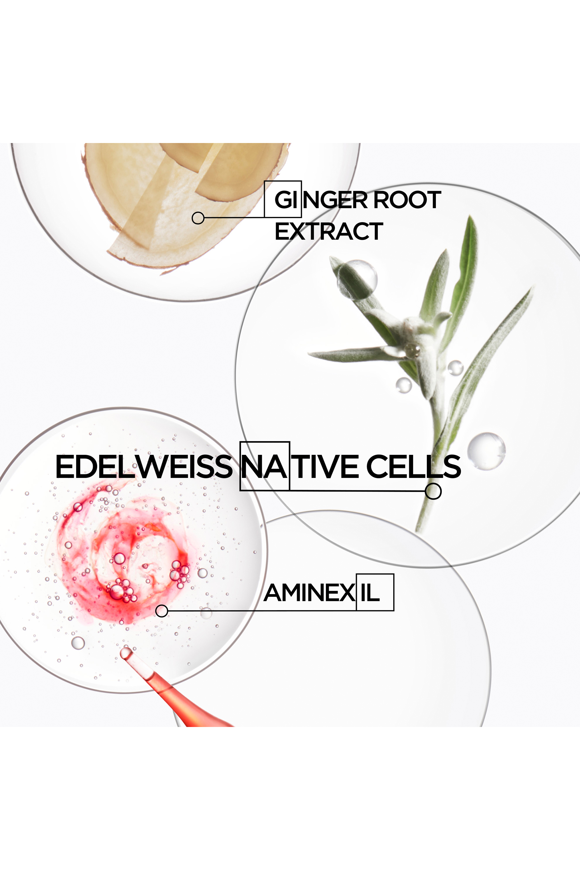 Genesis Heat Protectant Spray