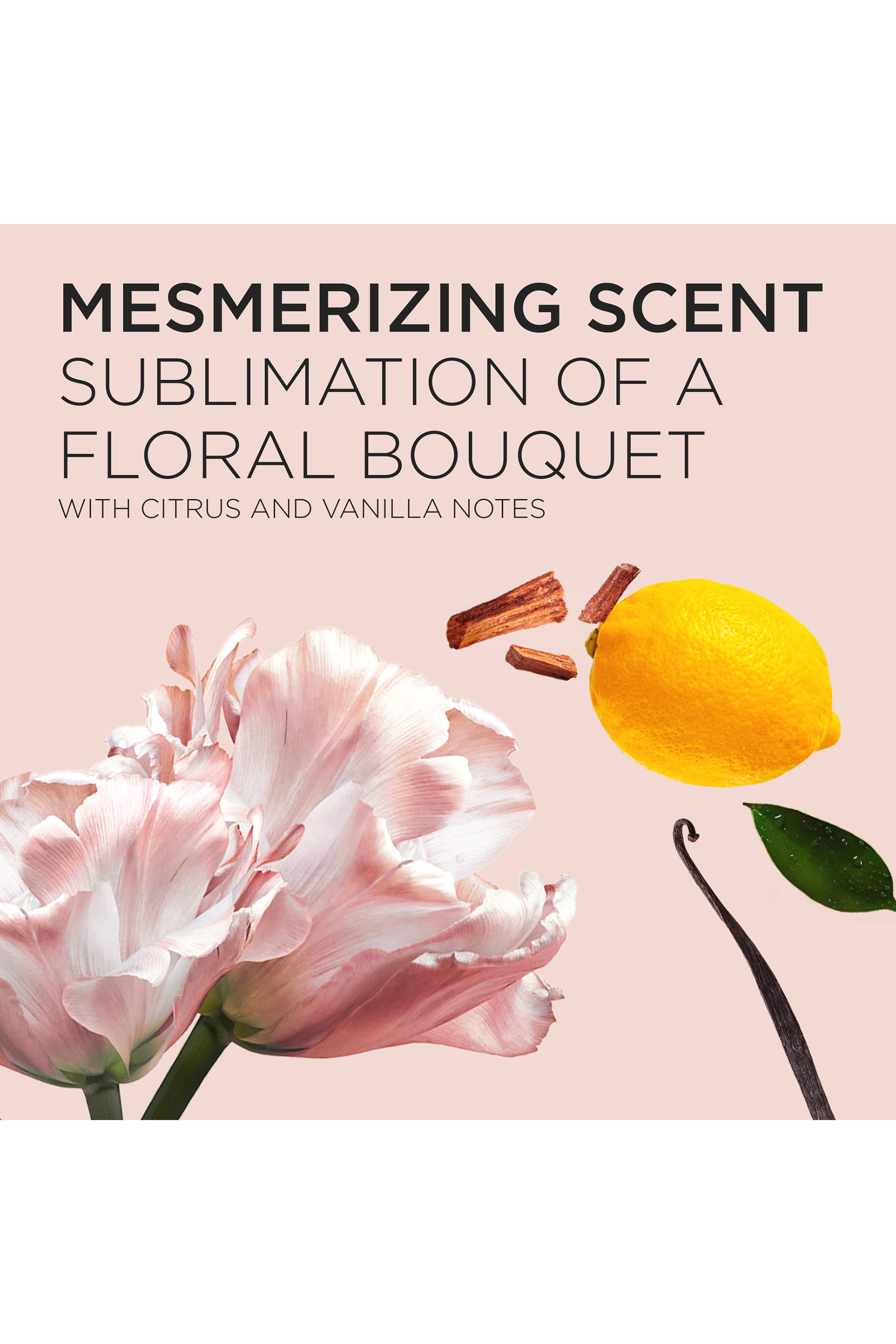 كيس إعادة ملء شامبو غلوس أبسولو هيدرا-غلايز