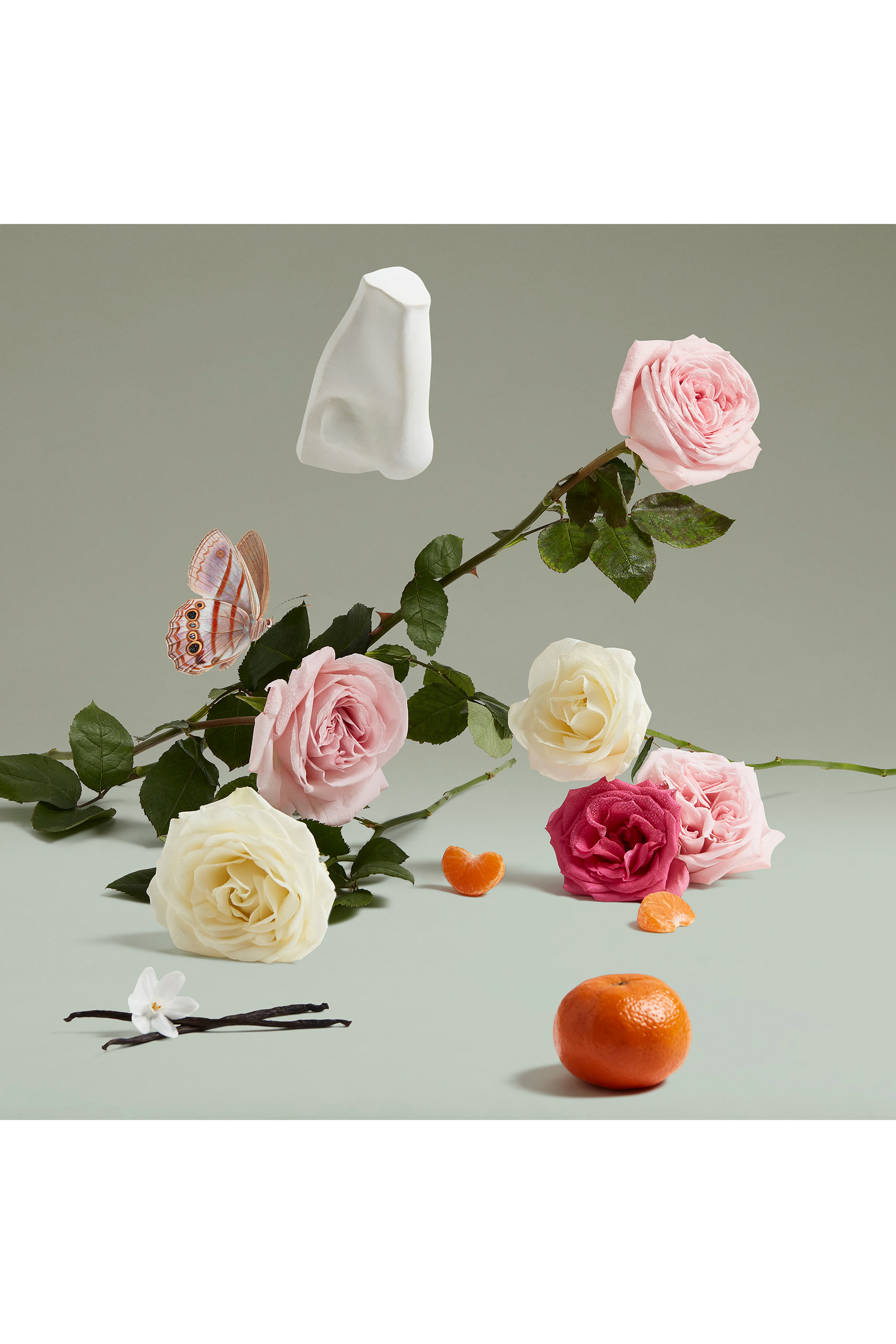 ماء عطر داتشس روز