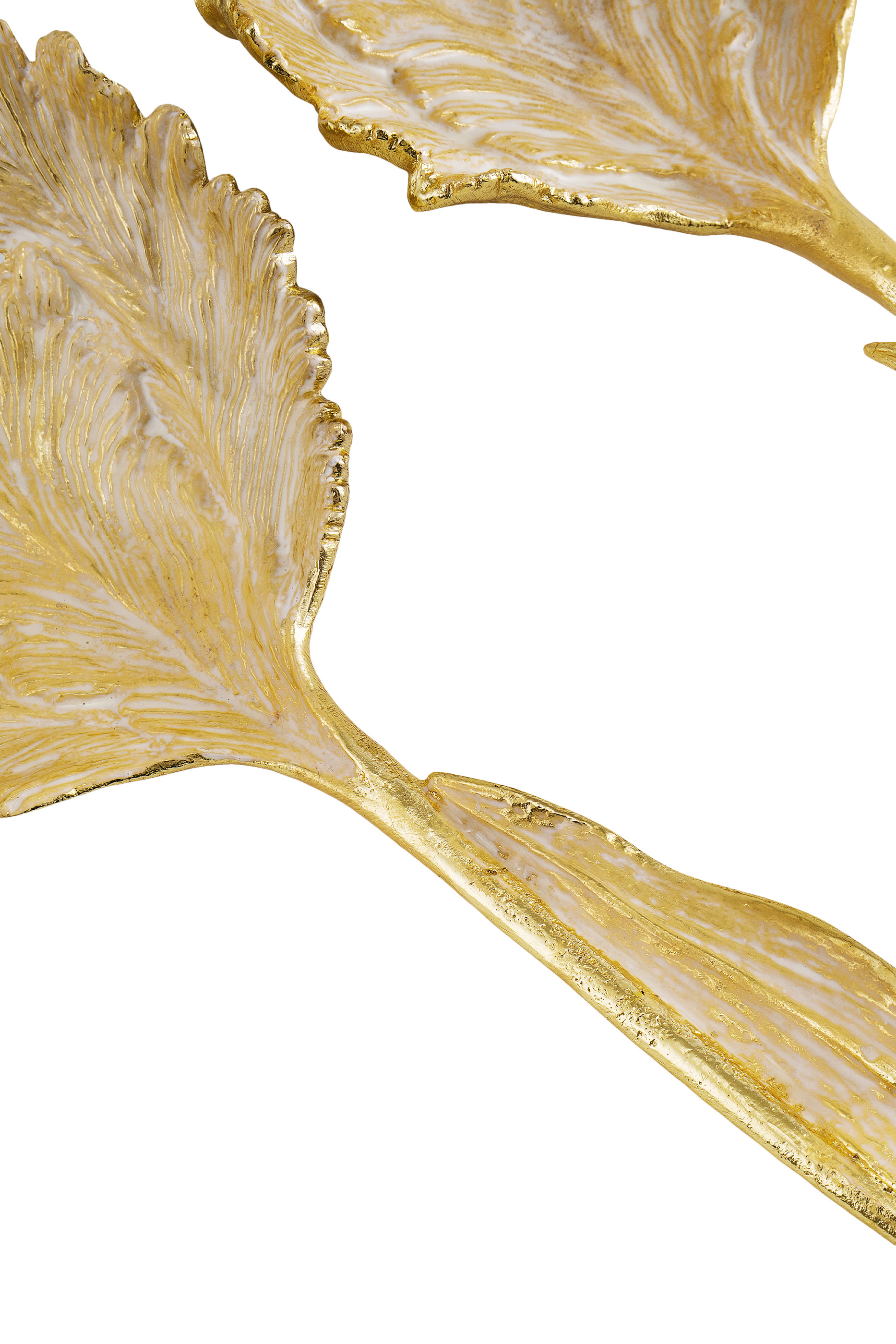 طقم تقديم توليب