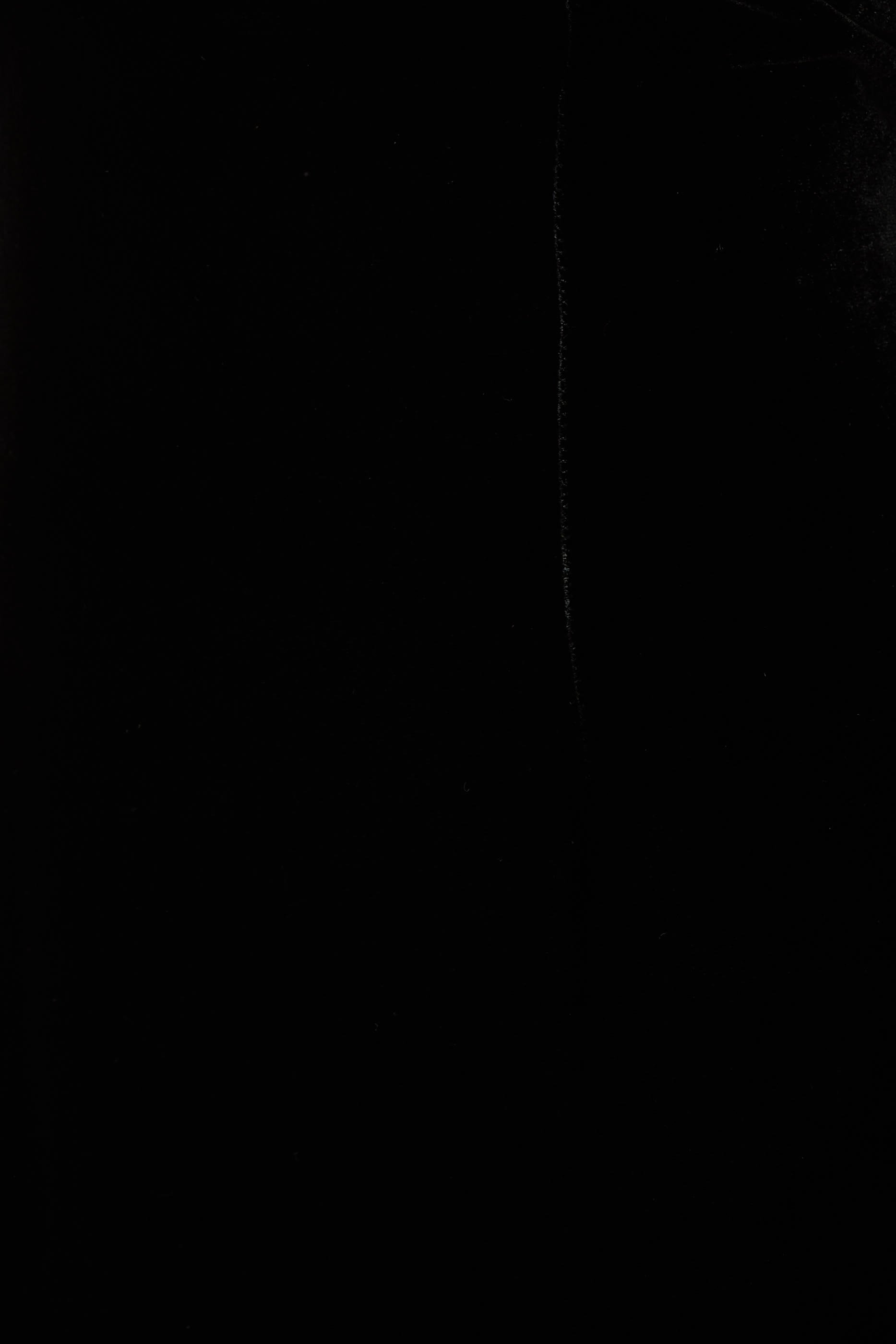 فستان طويل بذيل مخمل