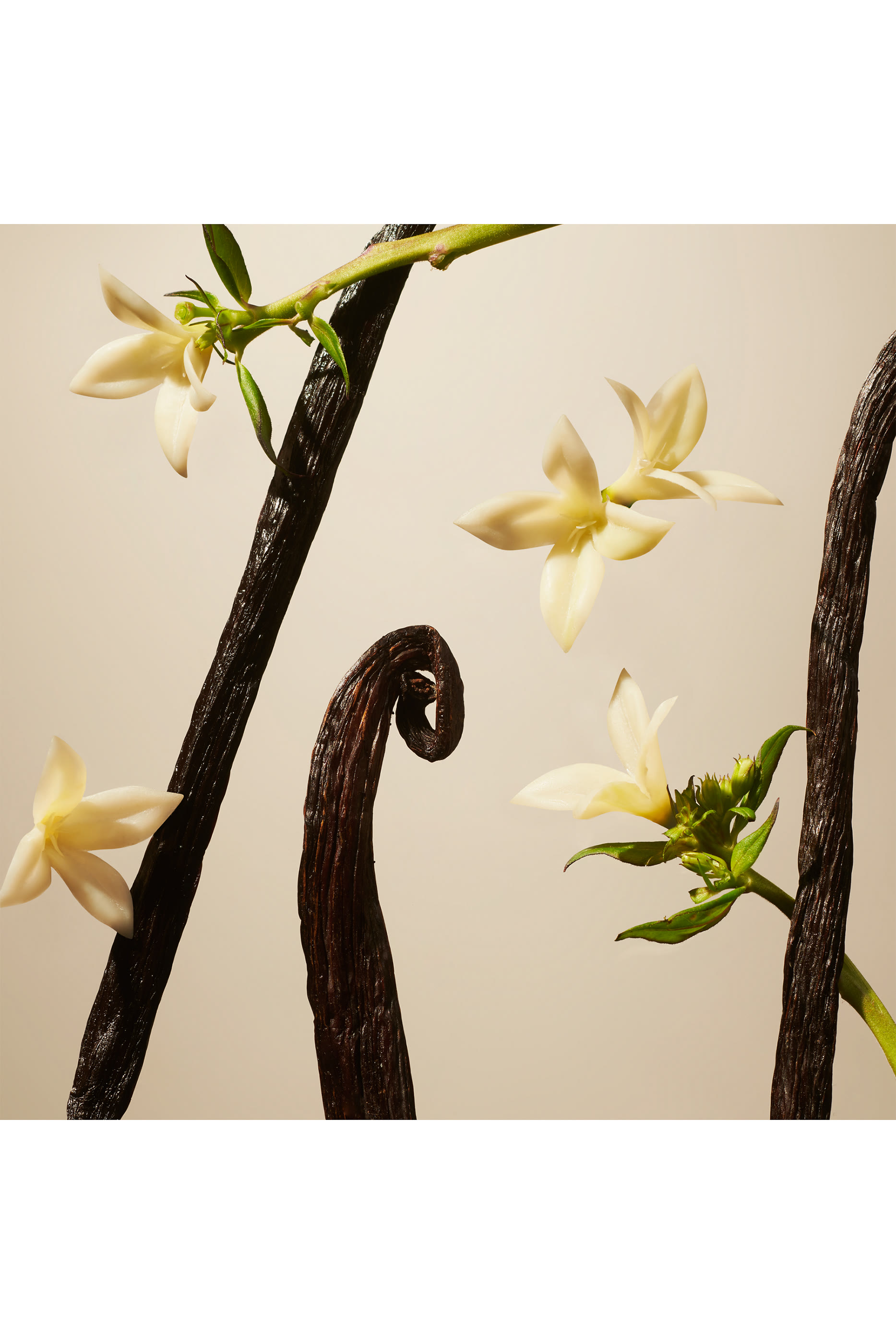 أعواد موزع عطر سويد فانيلا