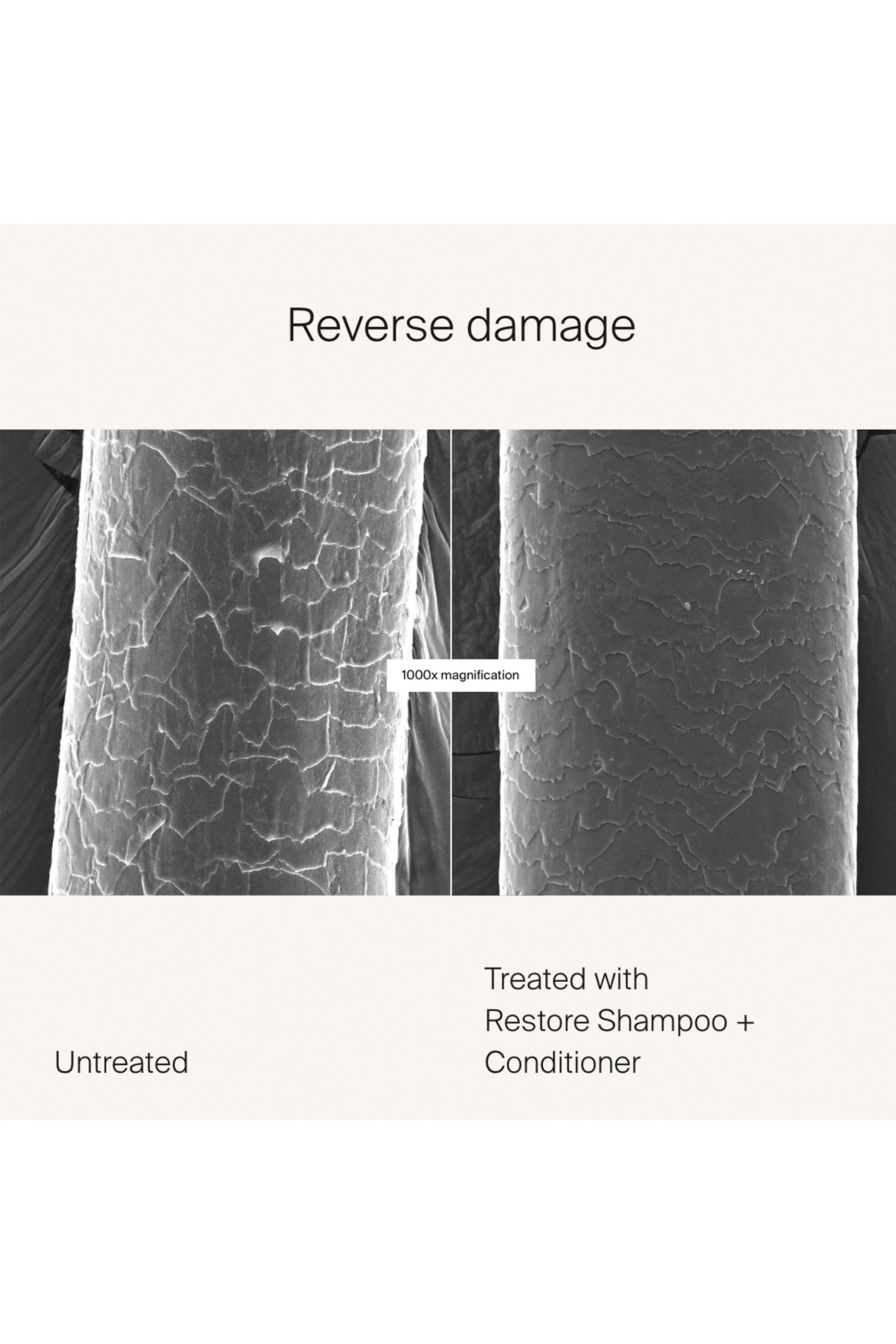 شامبو لإصلاح الشعر