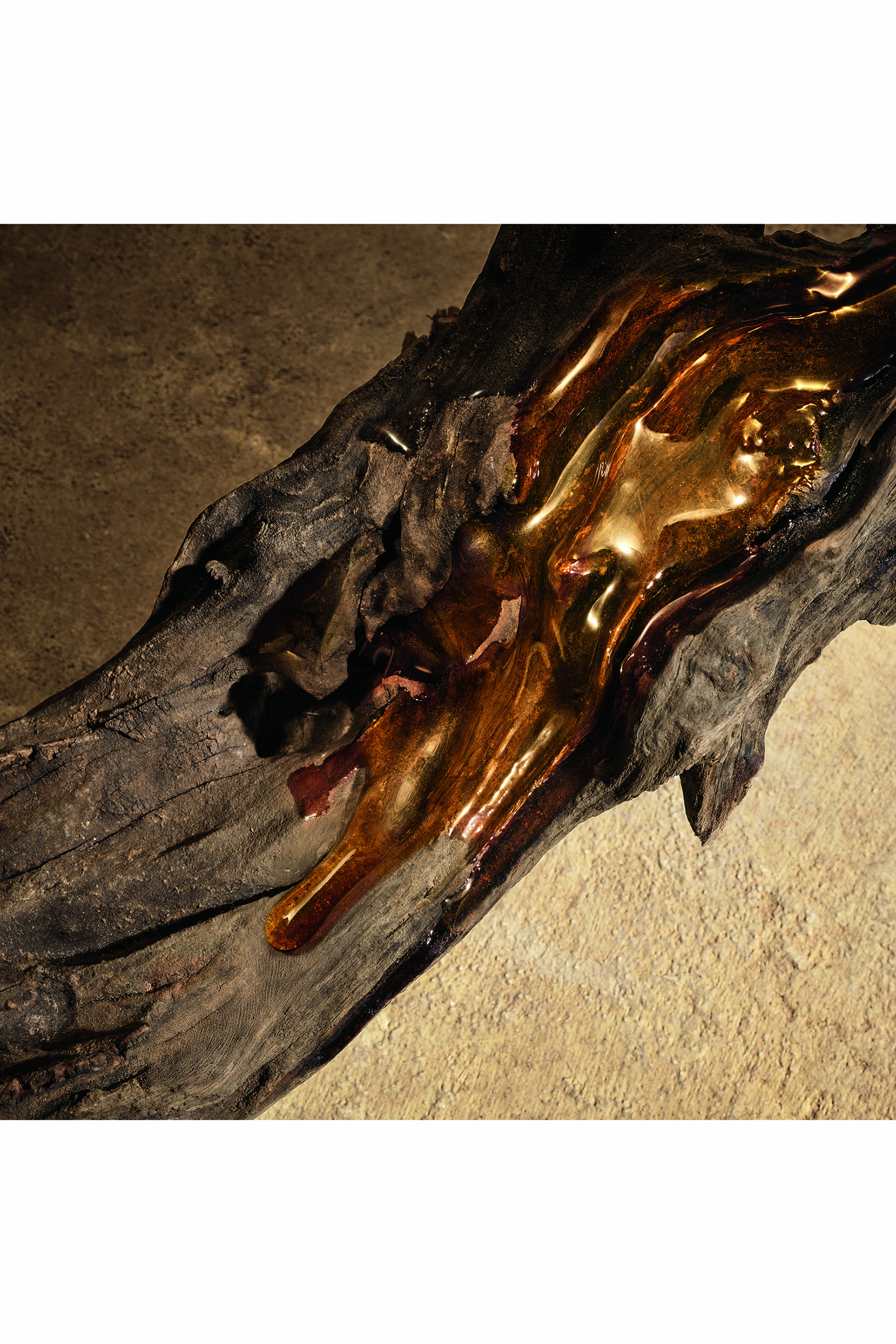 عطر ديفوشن للرجال