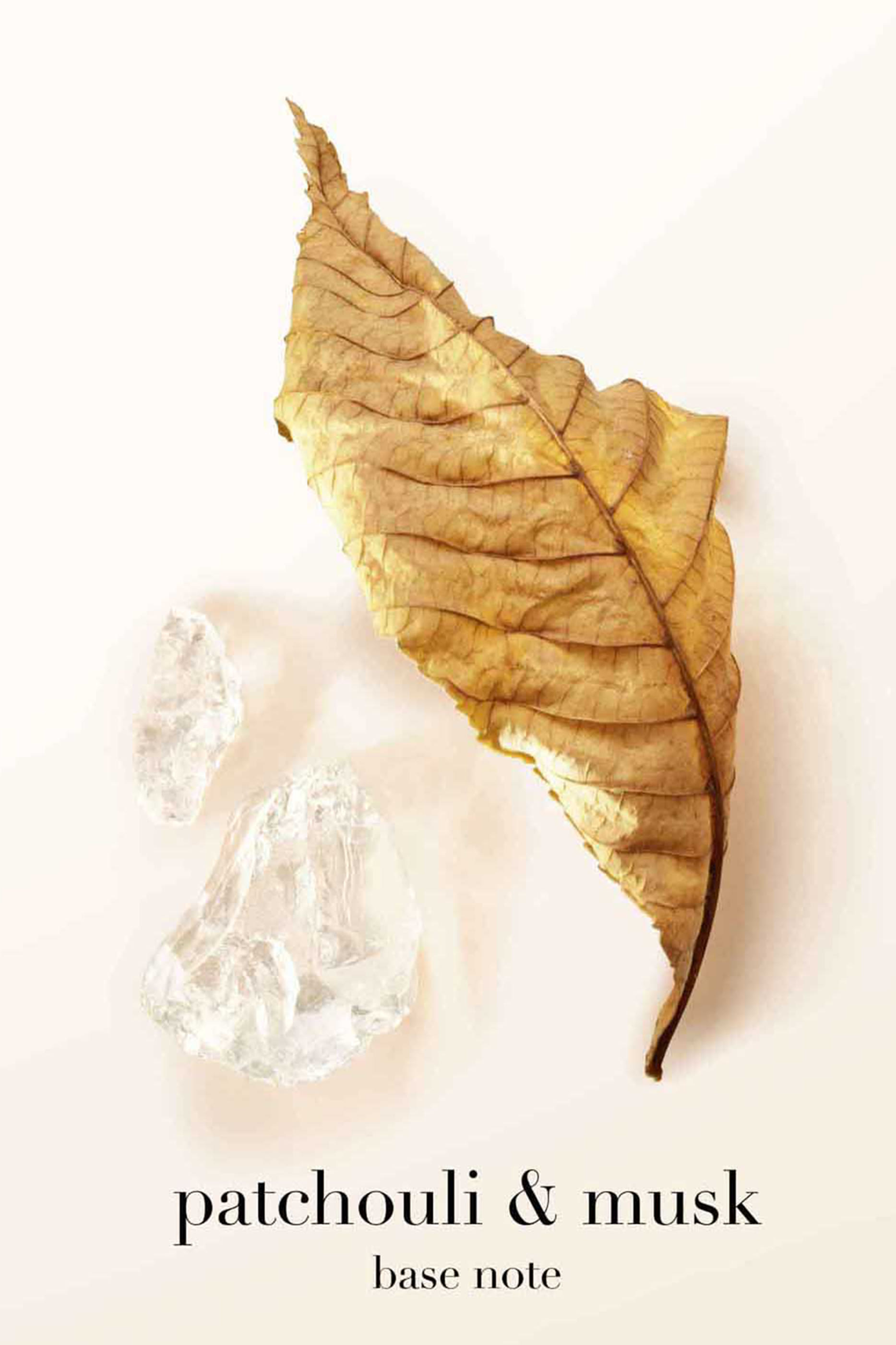 عبوة إعادة ملء أو دو بارفان سي