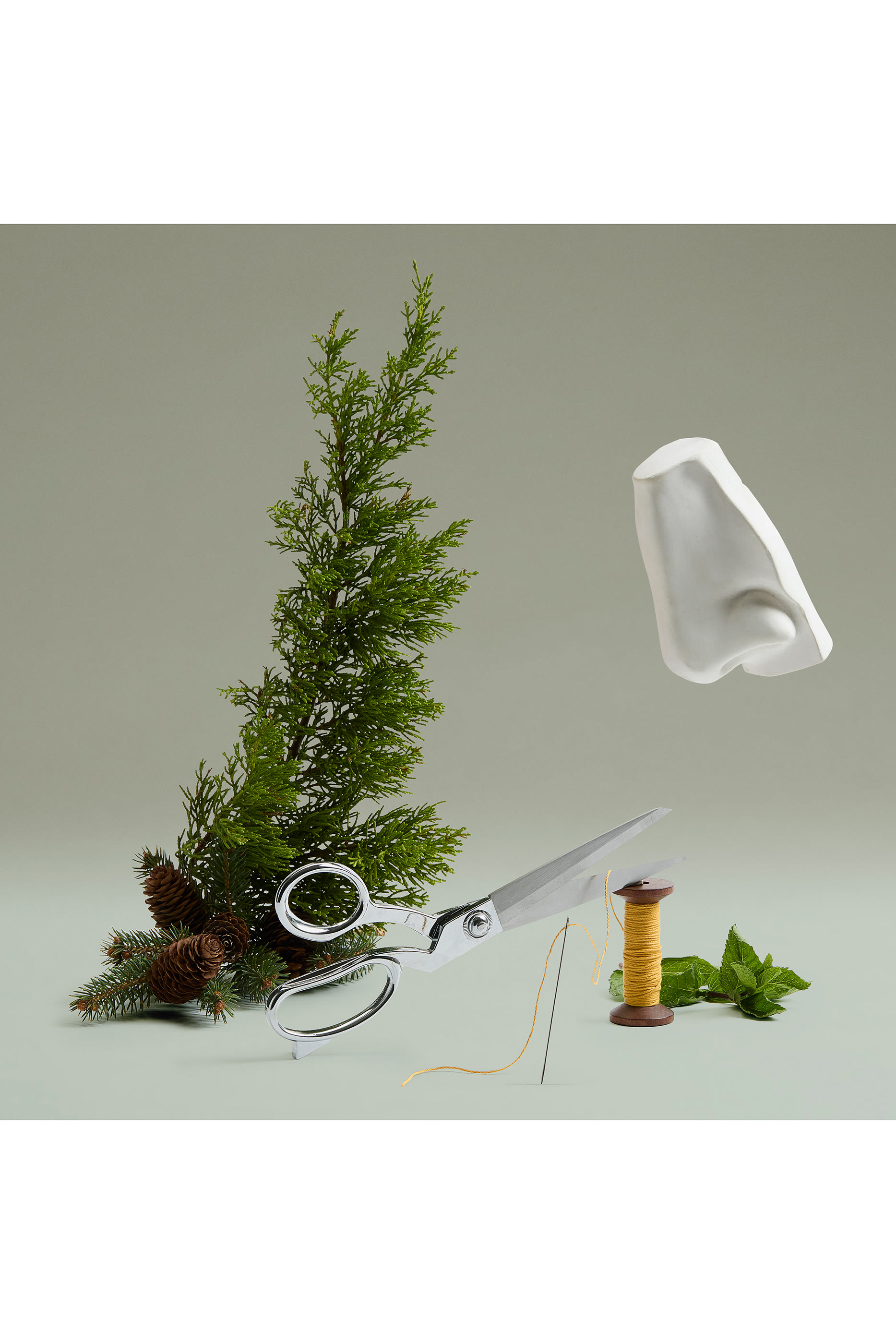 أو دو بارفان ذا كت