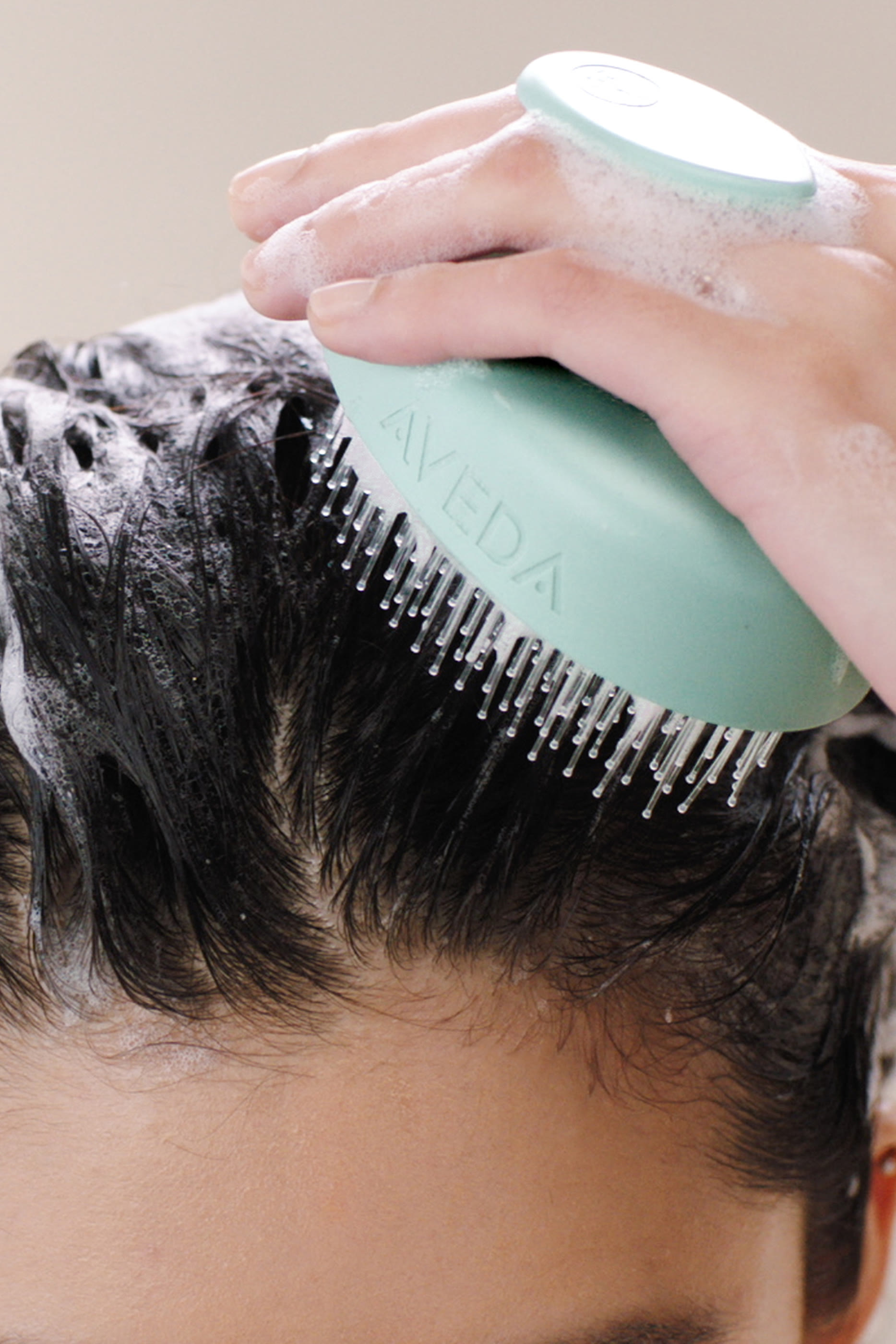 شامبو  سكالب سولوشنز لموازنة فروة الرأس