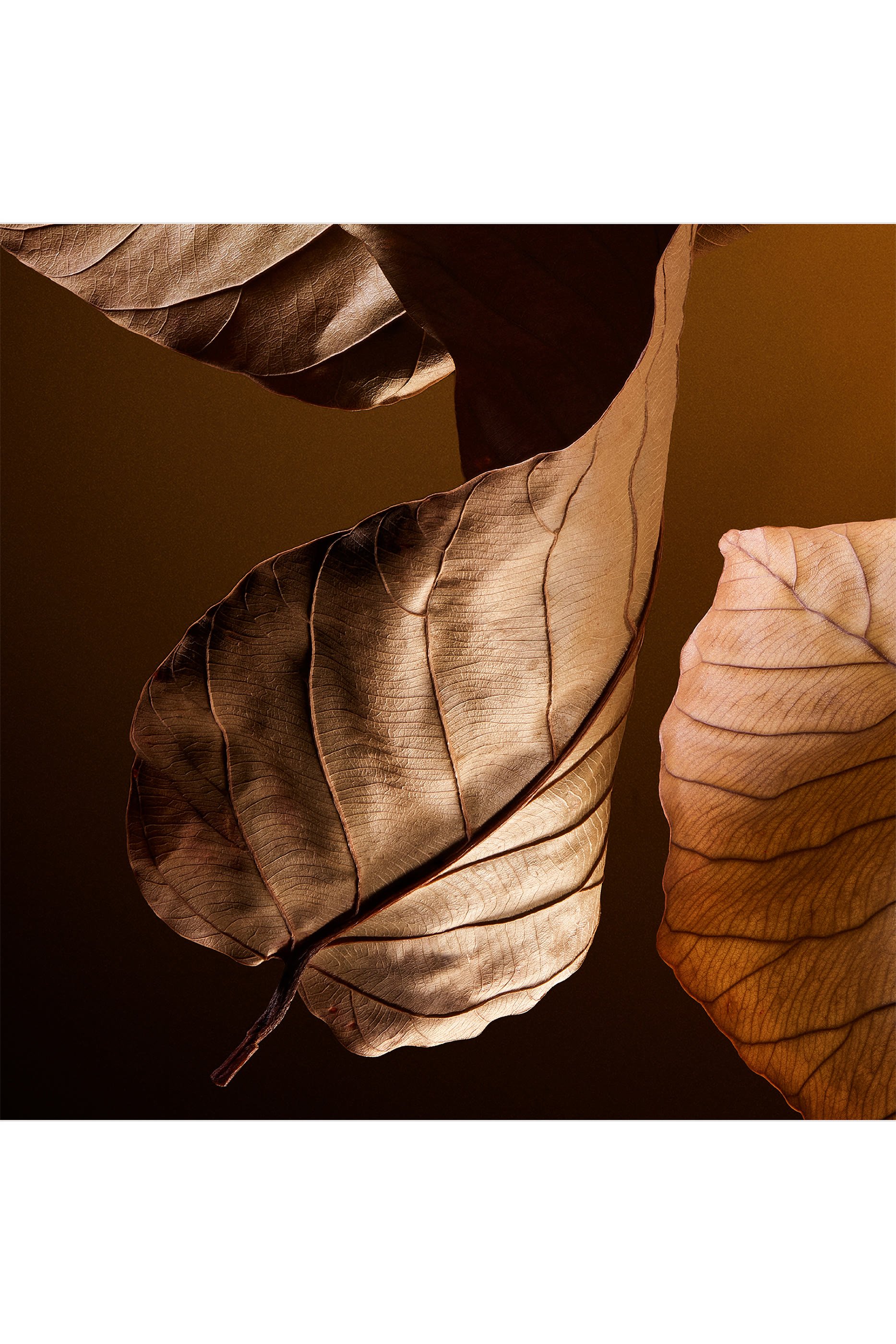 عطر ذا وان للرجال