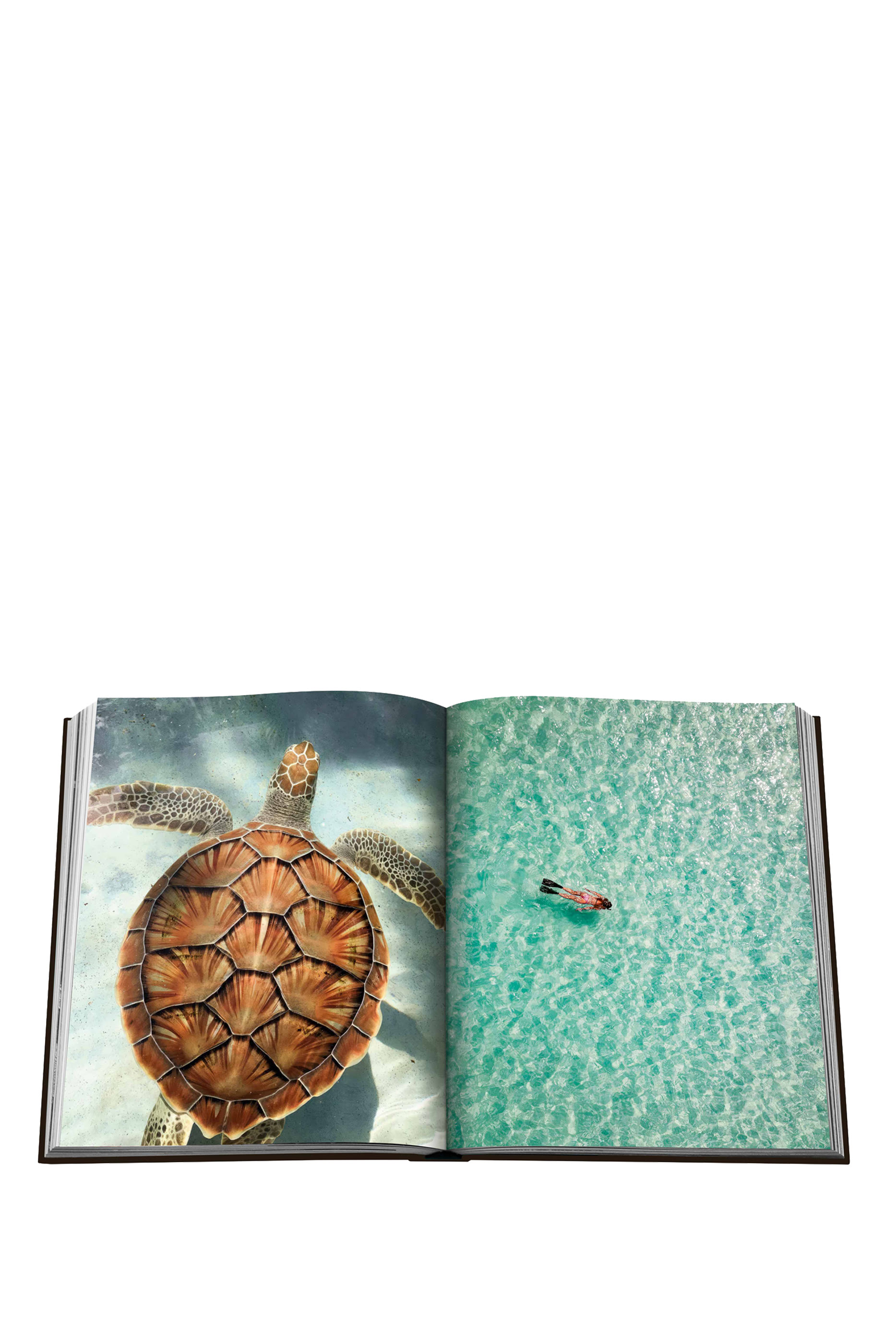 كتاب أجواء جامايكا