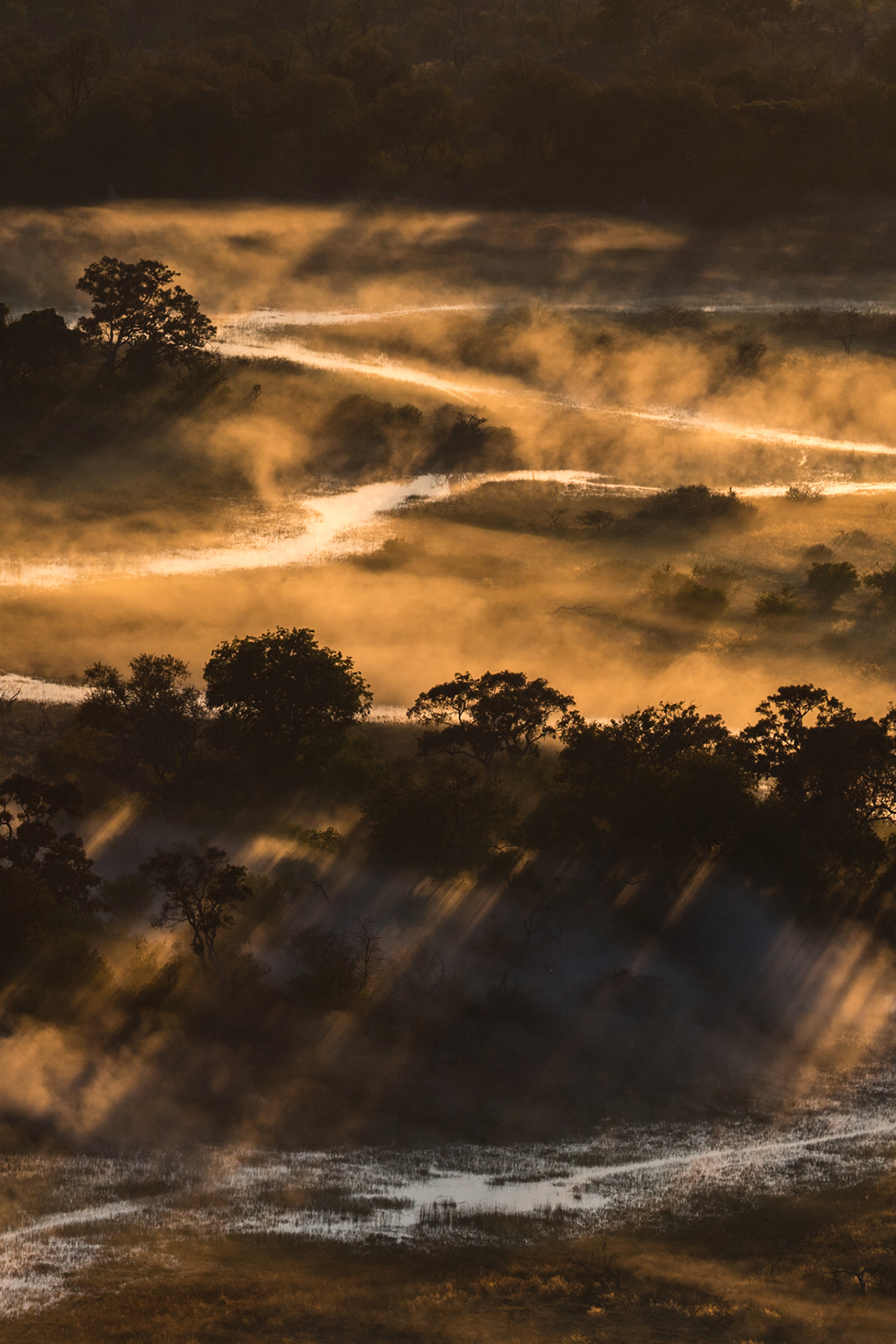 أو دو بارفان أكوا أليجوريا فورت بوسكا فانيلا