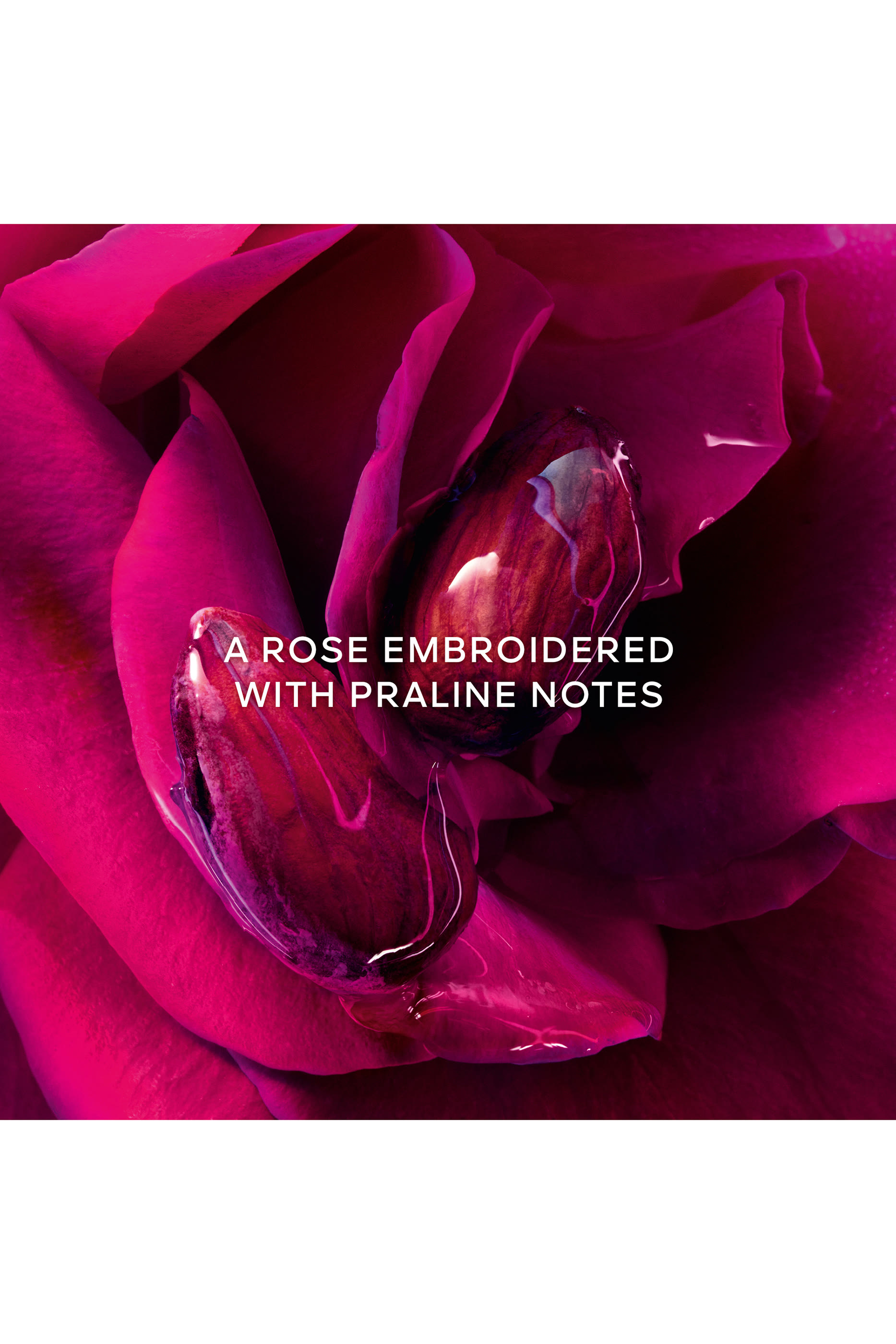 عطر لا بيتيت روب نوار