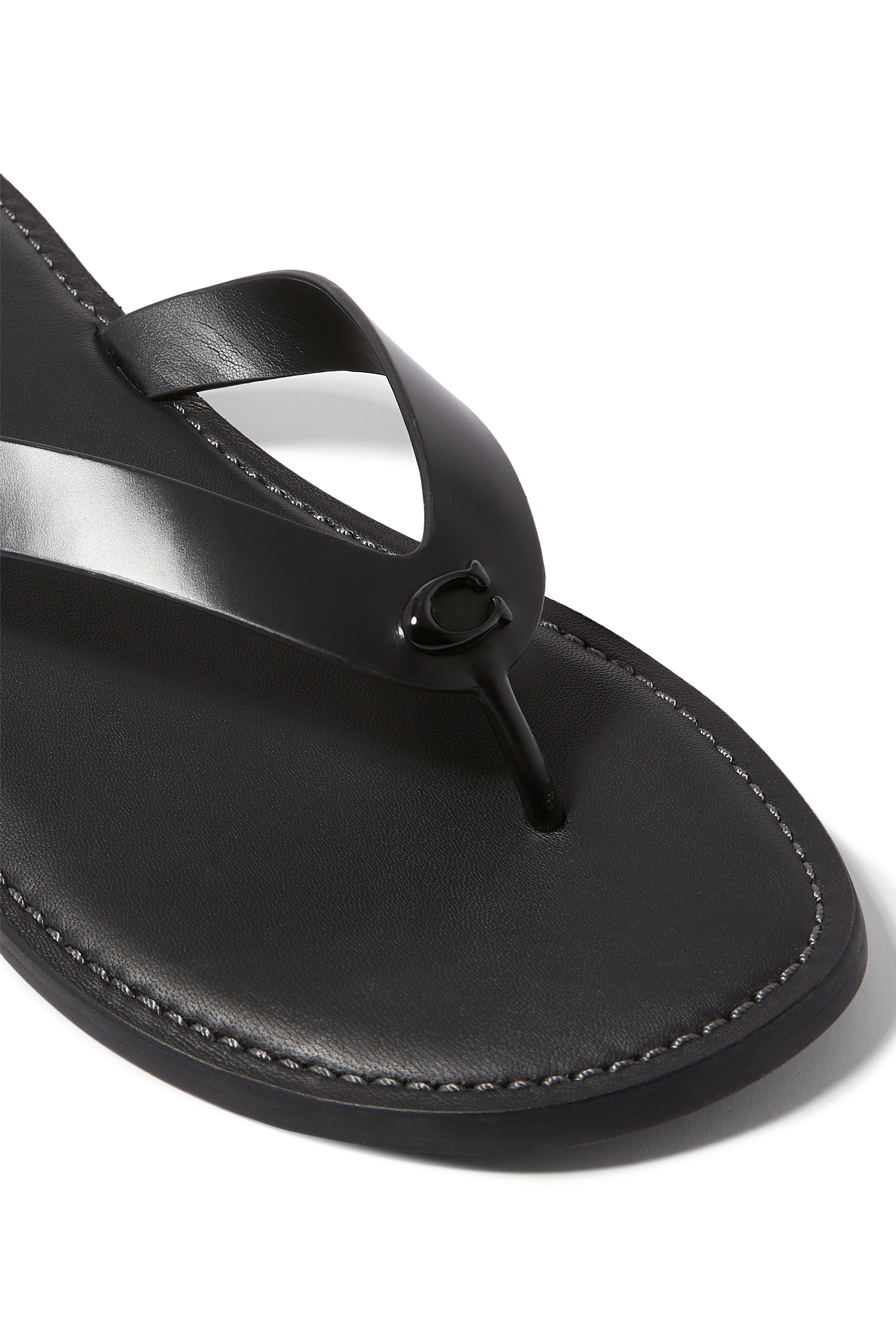 فليب فلوب بريانا