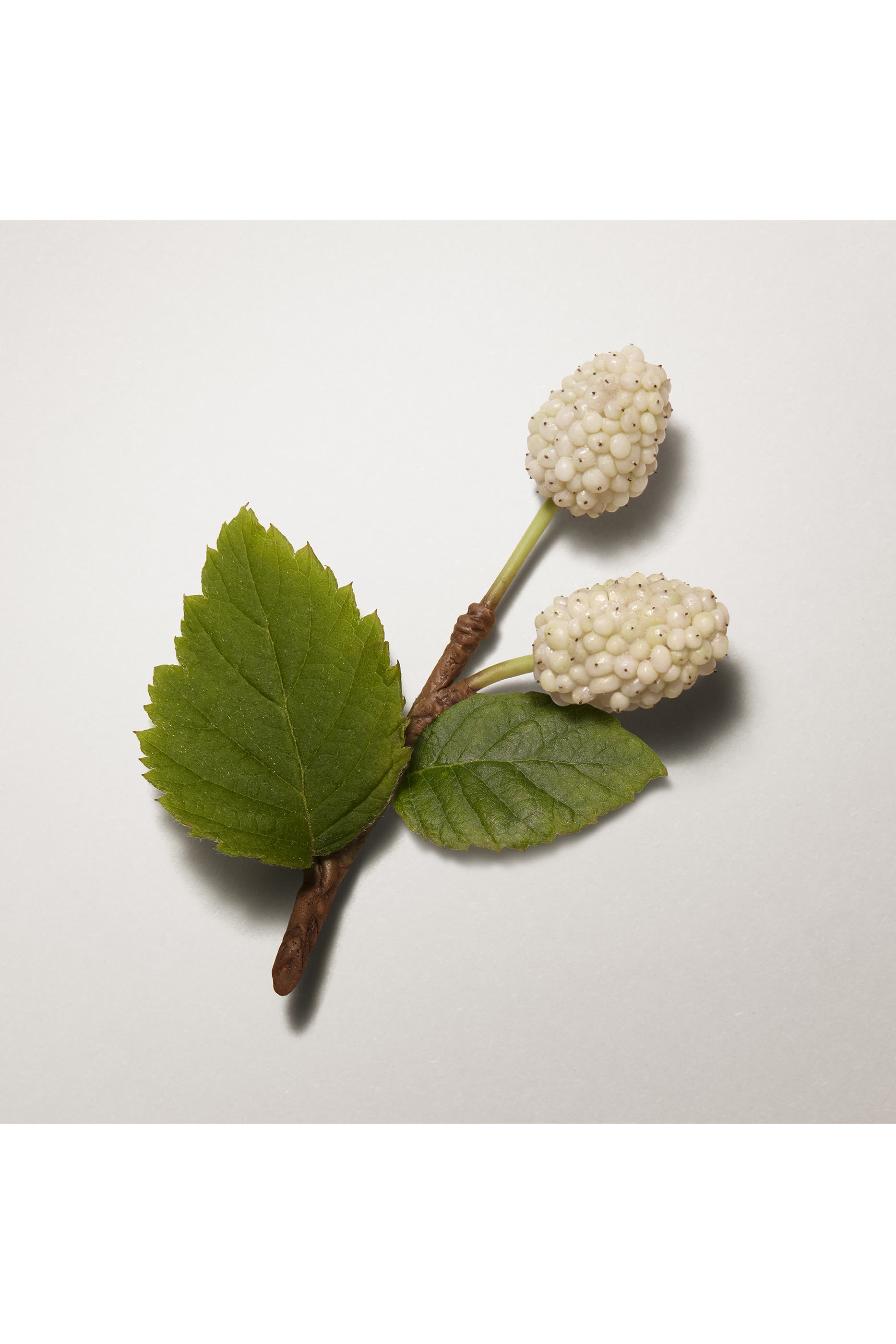 Les Mains Herm&egrave;s Hand Cream