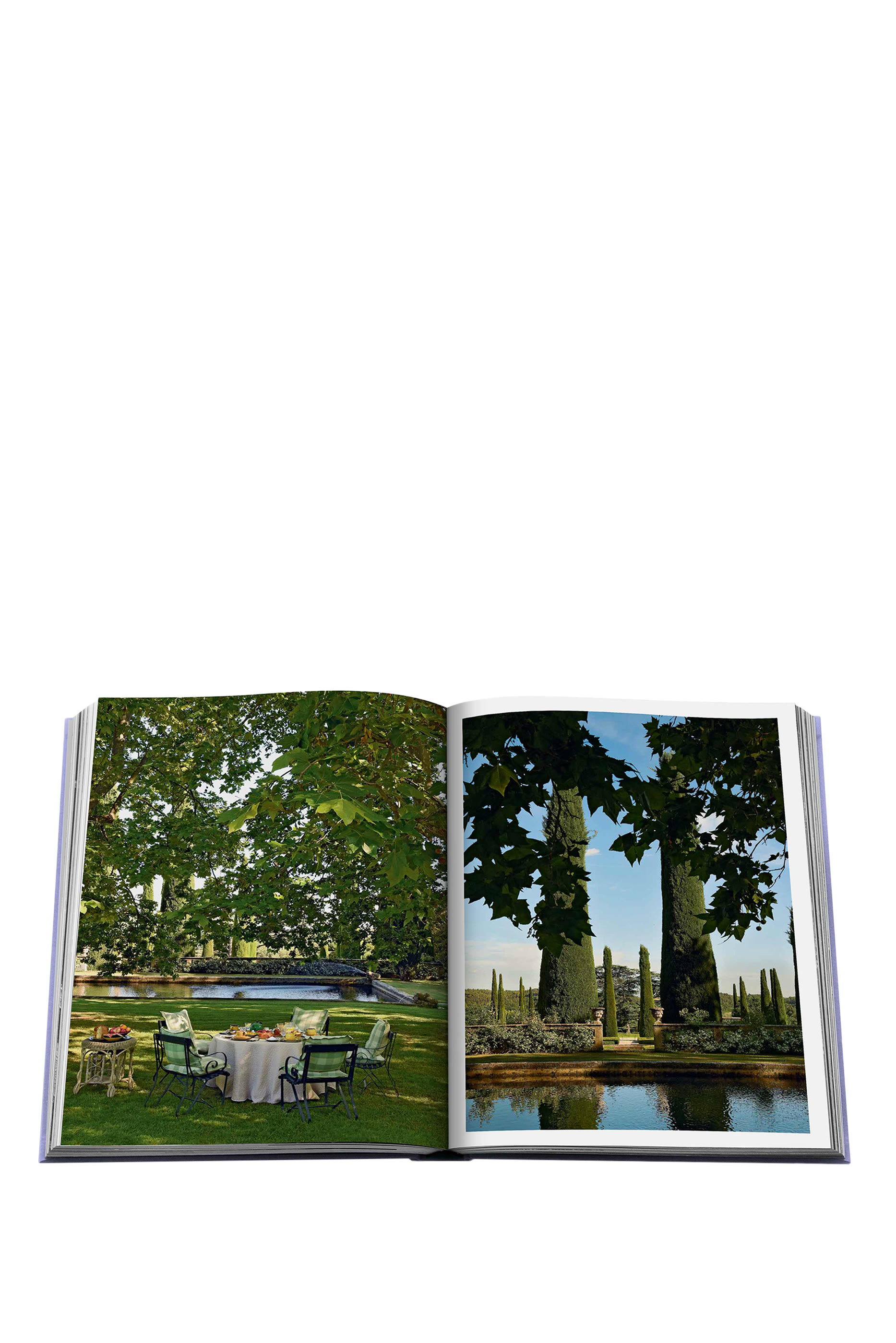 بروفانس جلوري