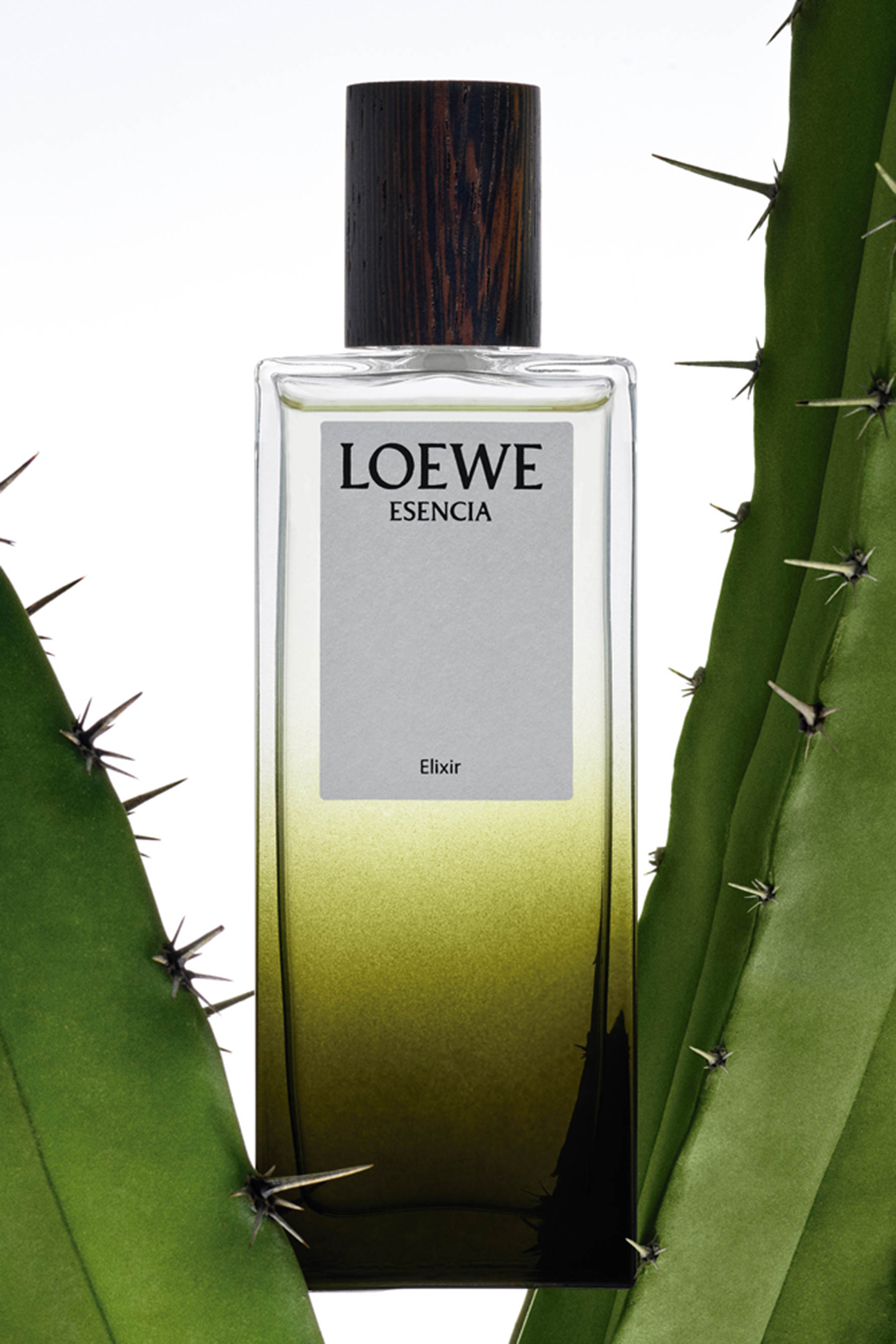 أو دو بارفان اسينسيا إلكسير