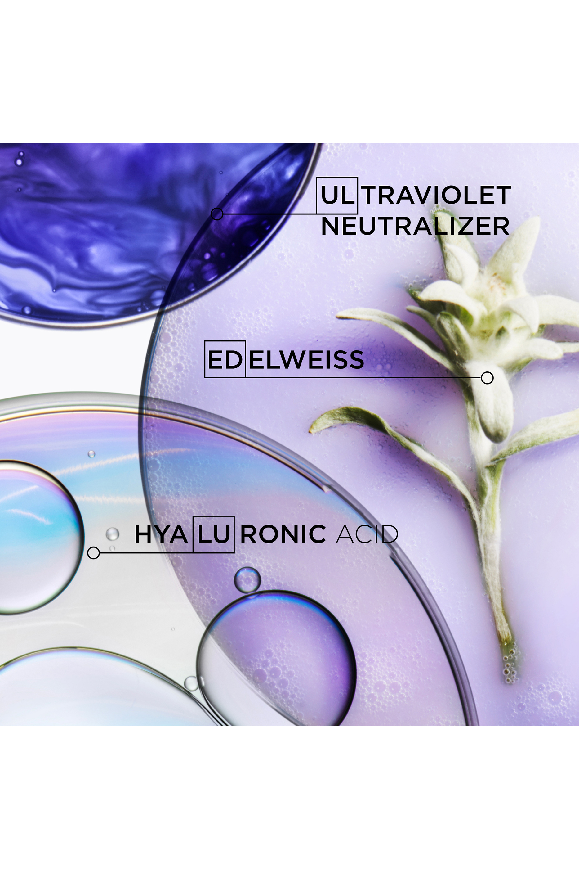 شامبو أبسولو بين لوميير للشعر الأشقر