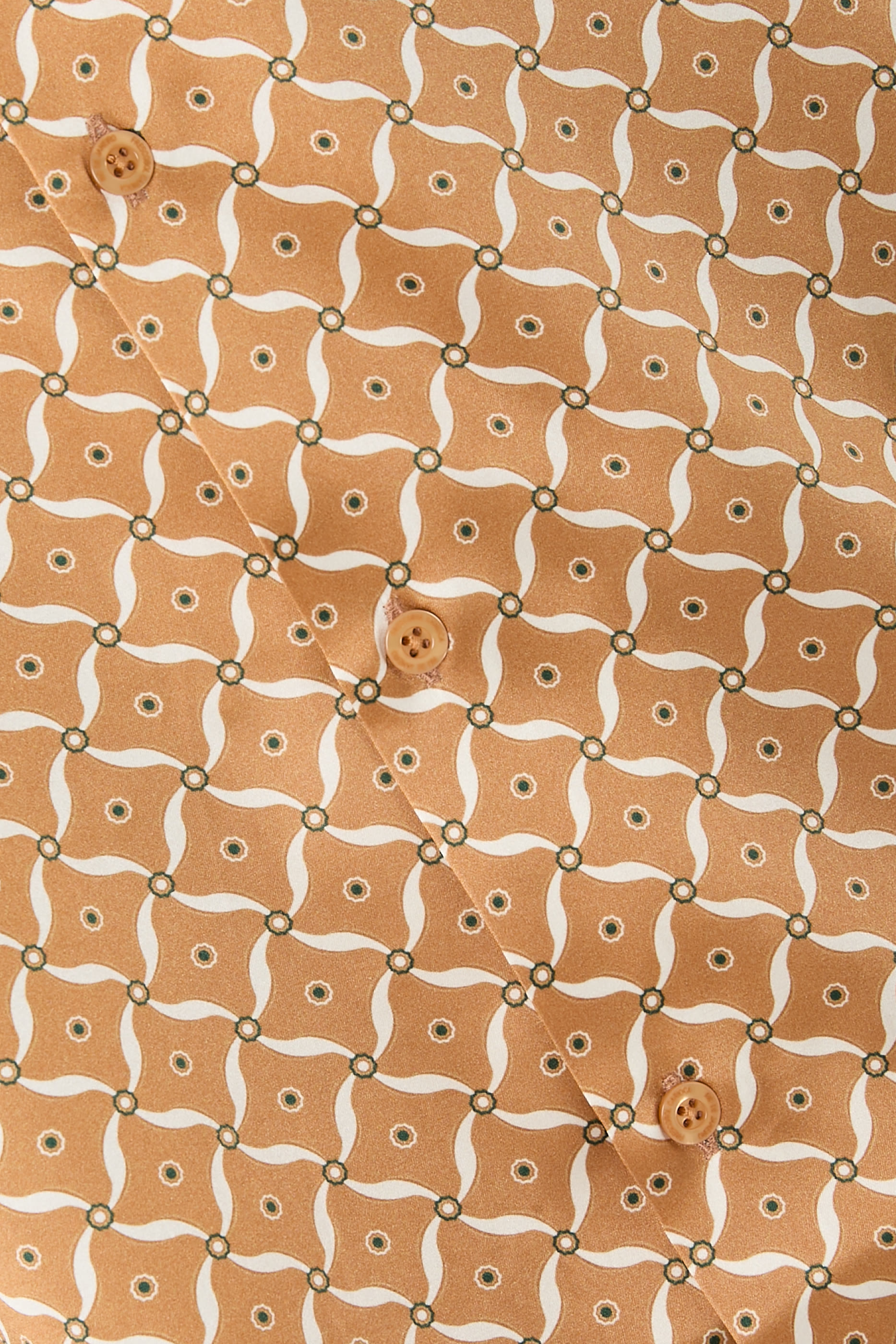 قميص روبرتو حرير