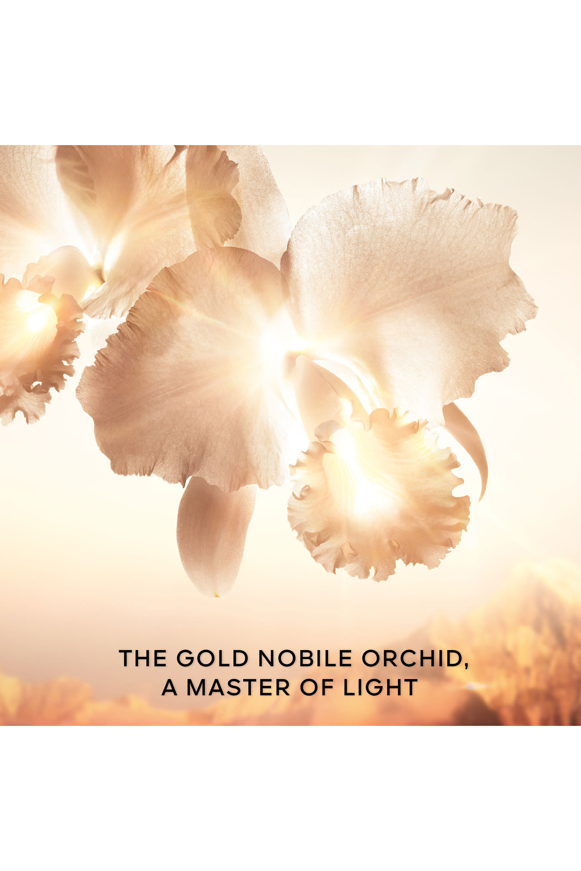 سيروم أوركيد إمبيريال جولد نوبيل