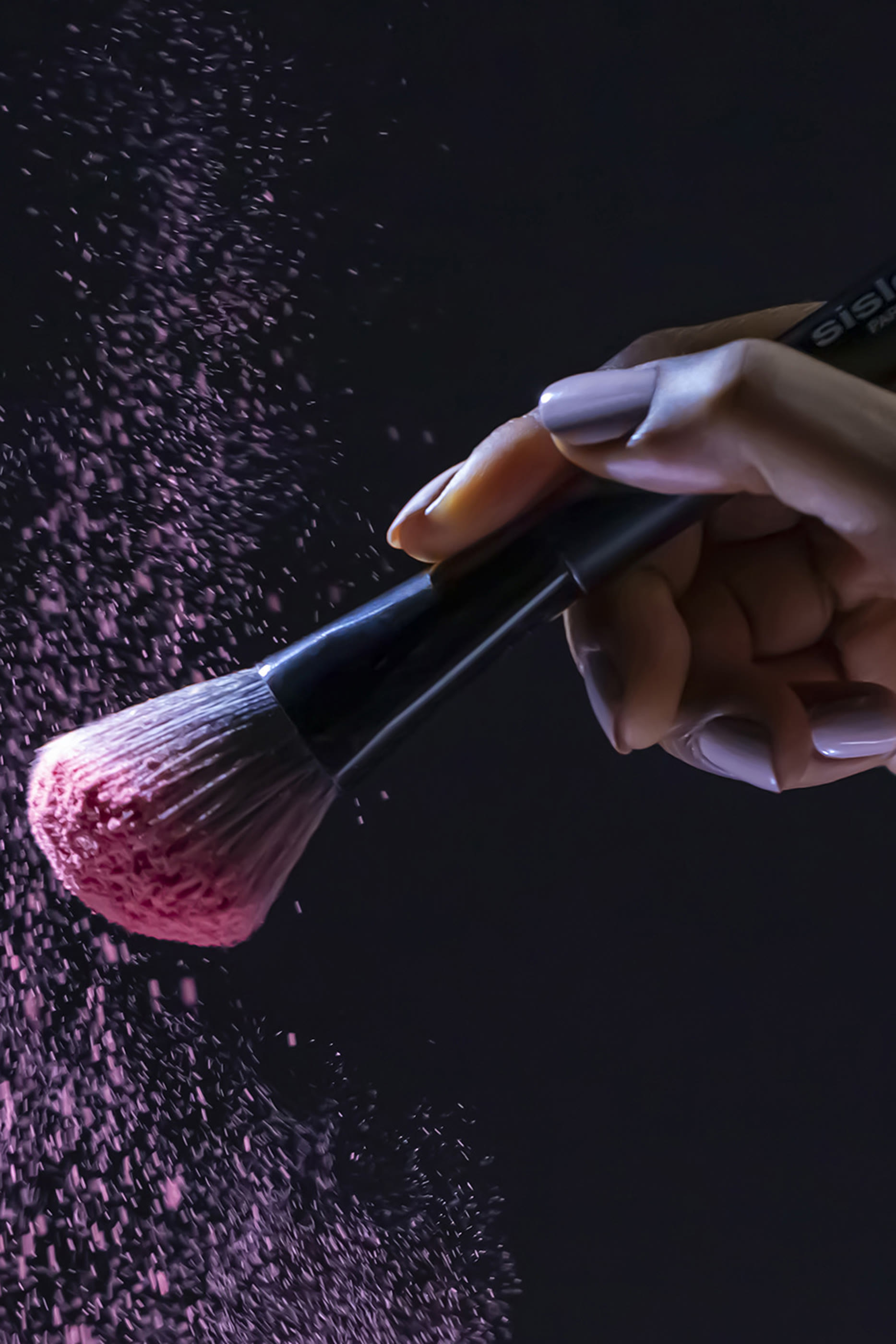 فرشاة أحمر الخدود