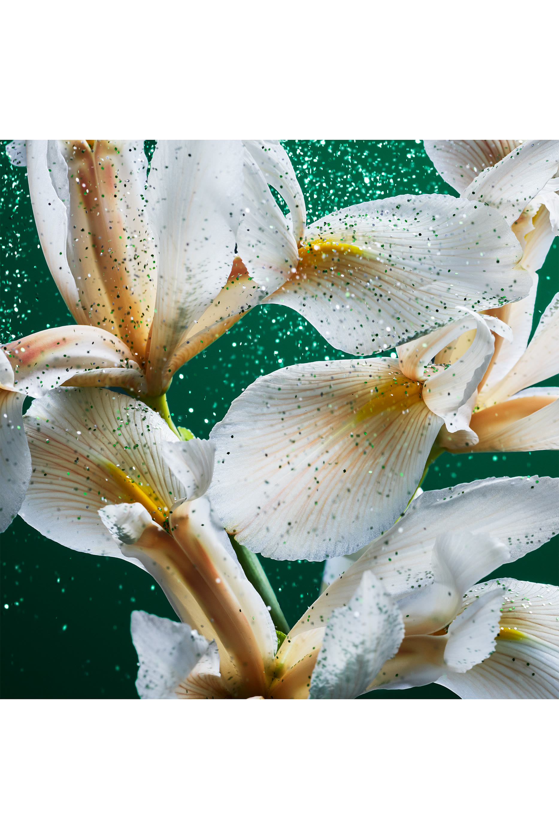 أو دو بارفان ايميرالد مسك