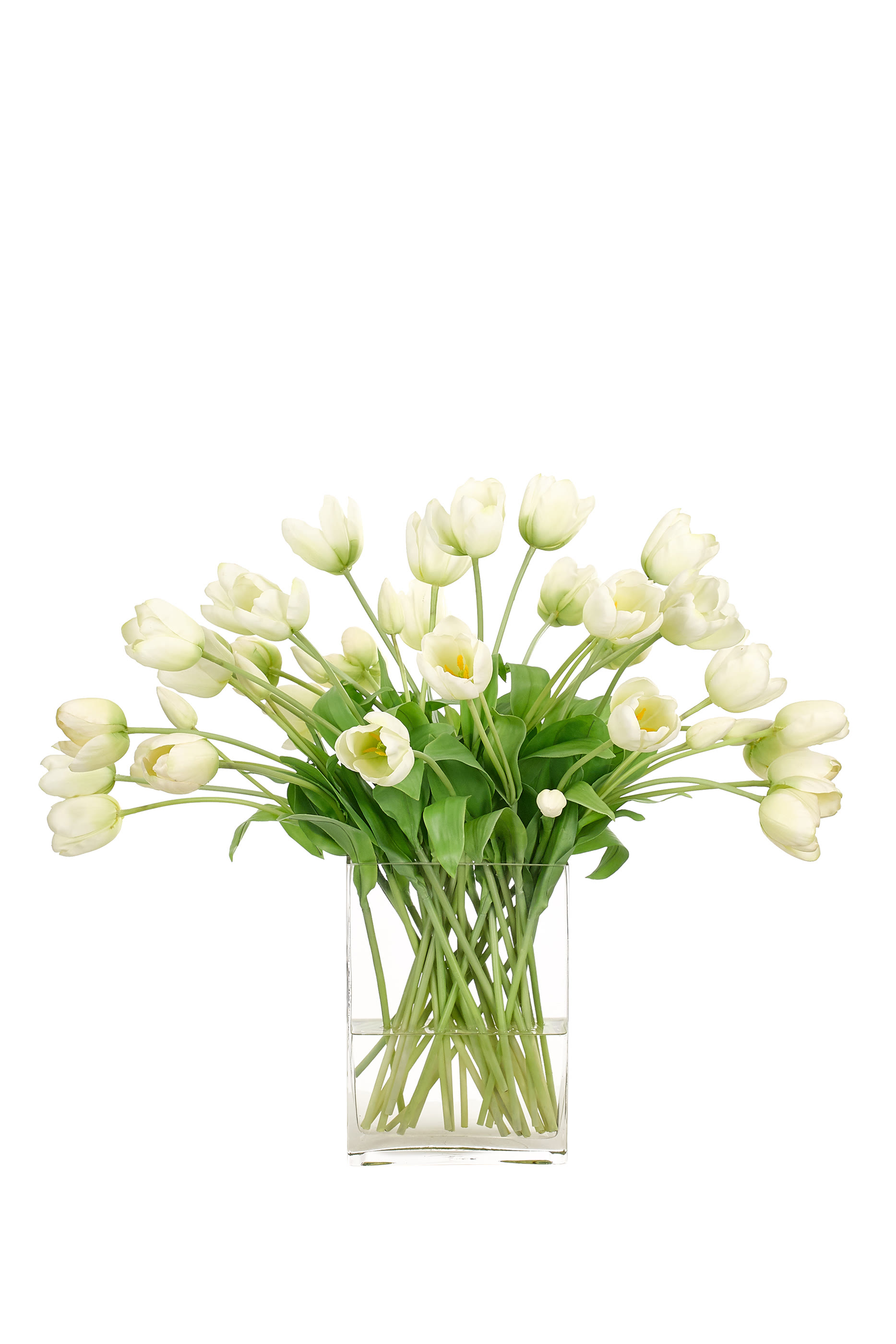 زهور تيوليب في مزهرية زجاج