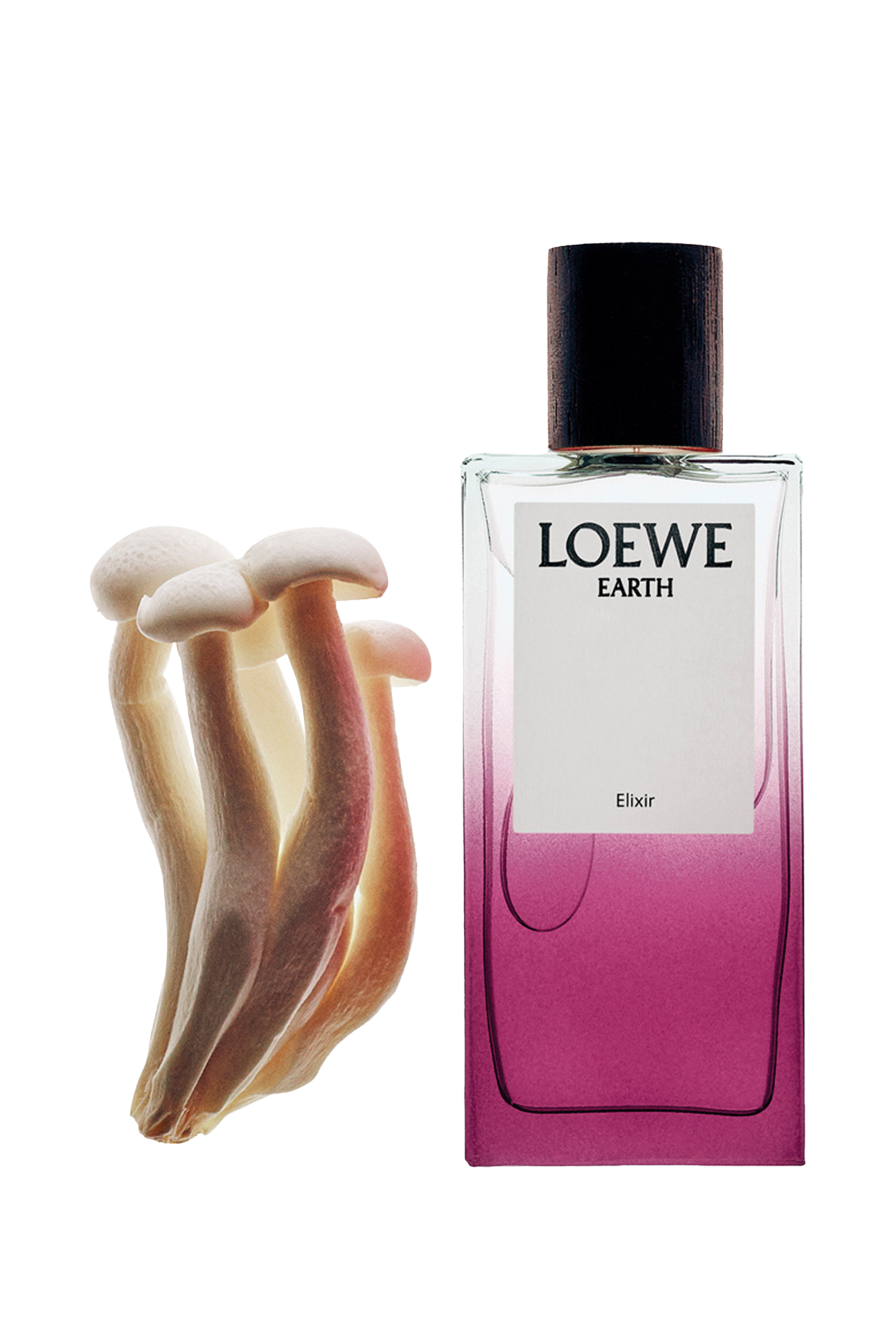 أو دو بارفان إليكسير إيرث