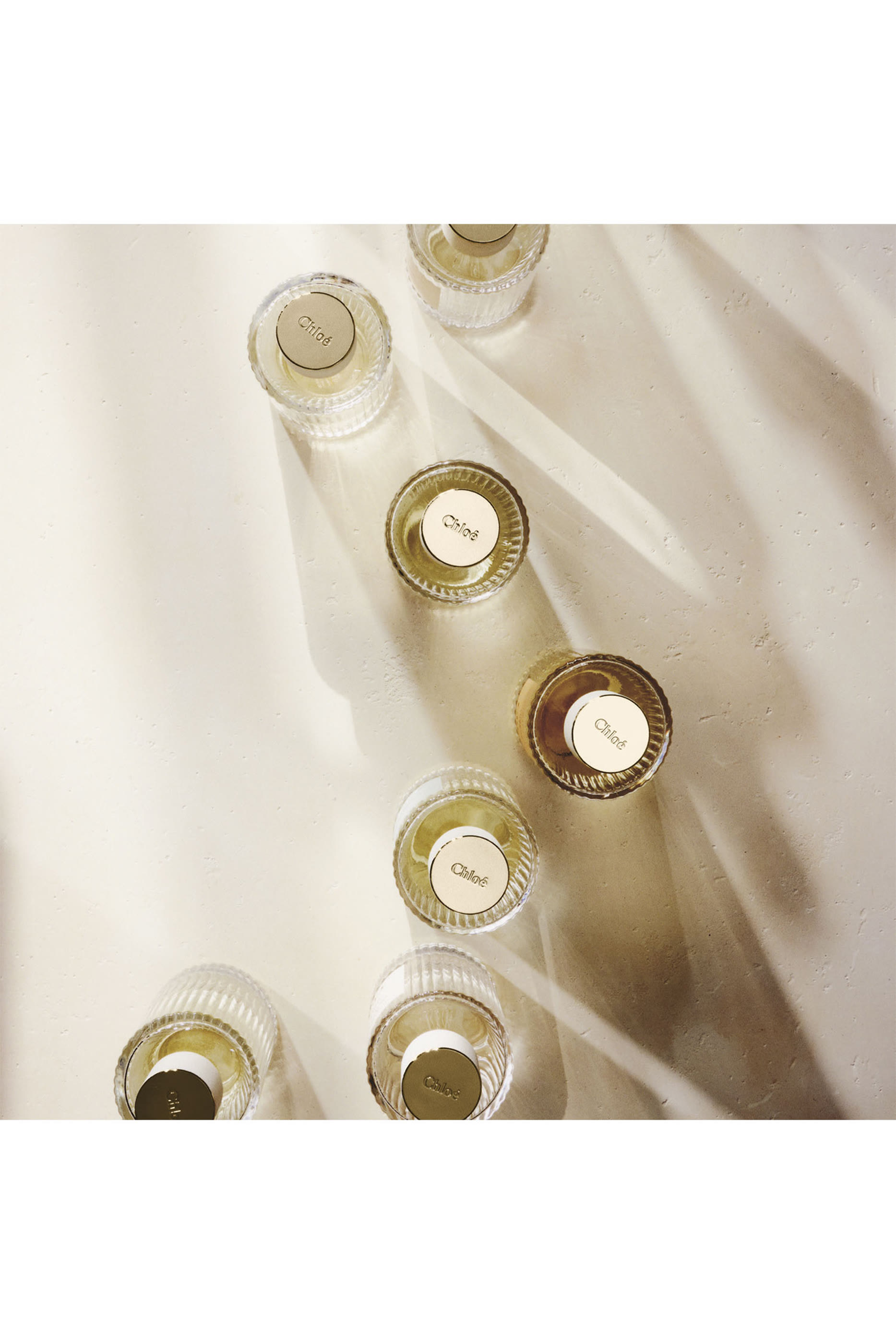 أو دو بارفان أتيليه دي فلور هيربا ميموزا