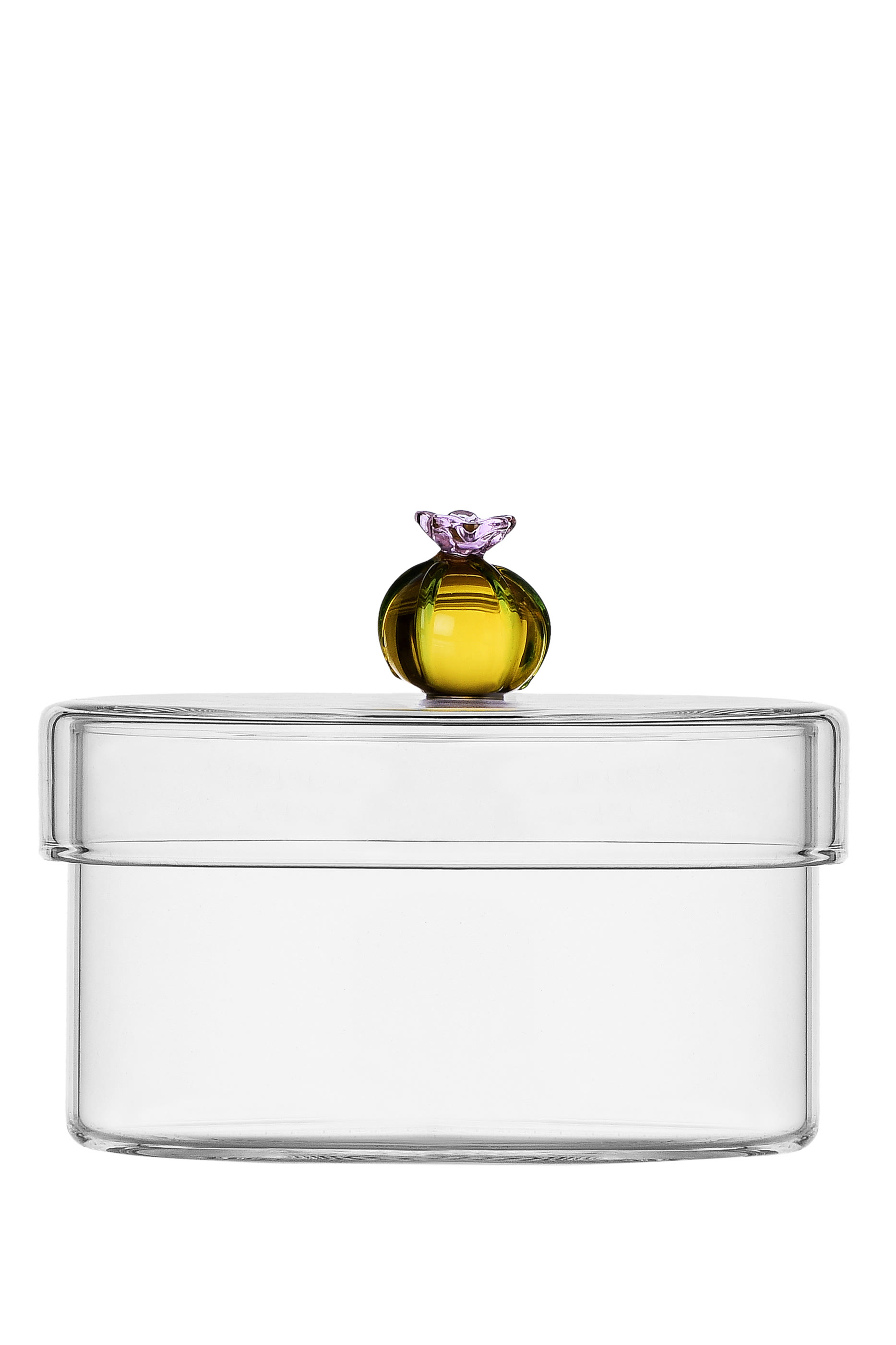 علبة صغيرة مزينة بصبار