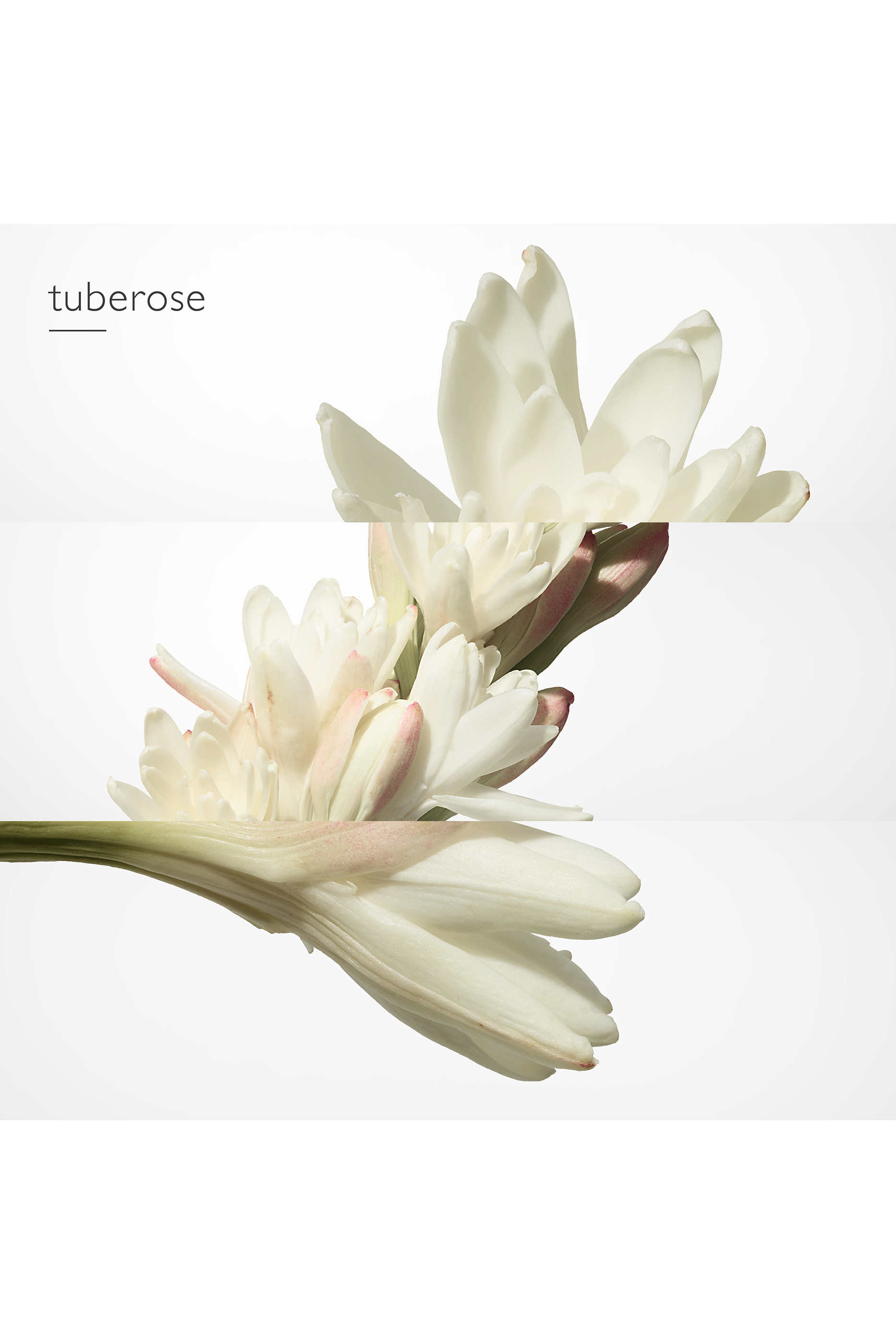 ماء عطر ,Twilly d'Hermès