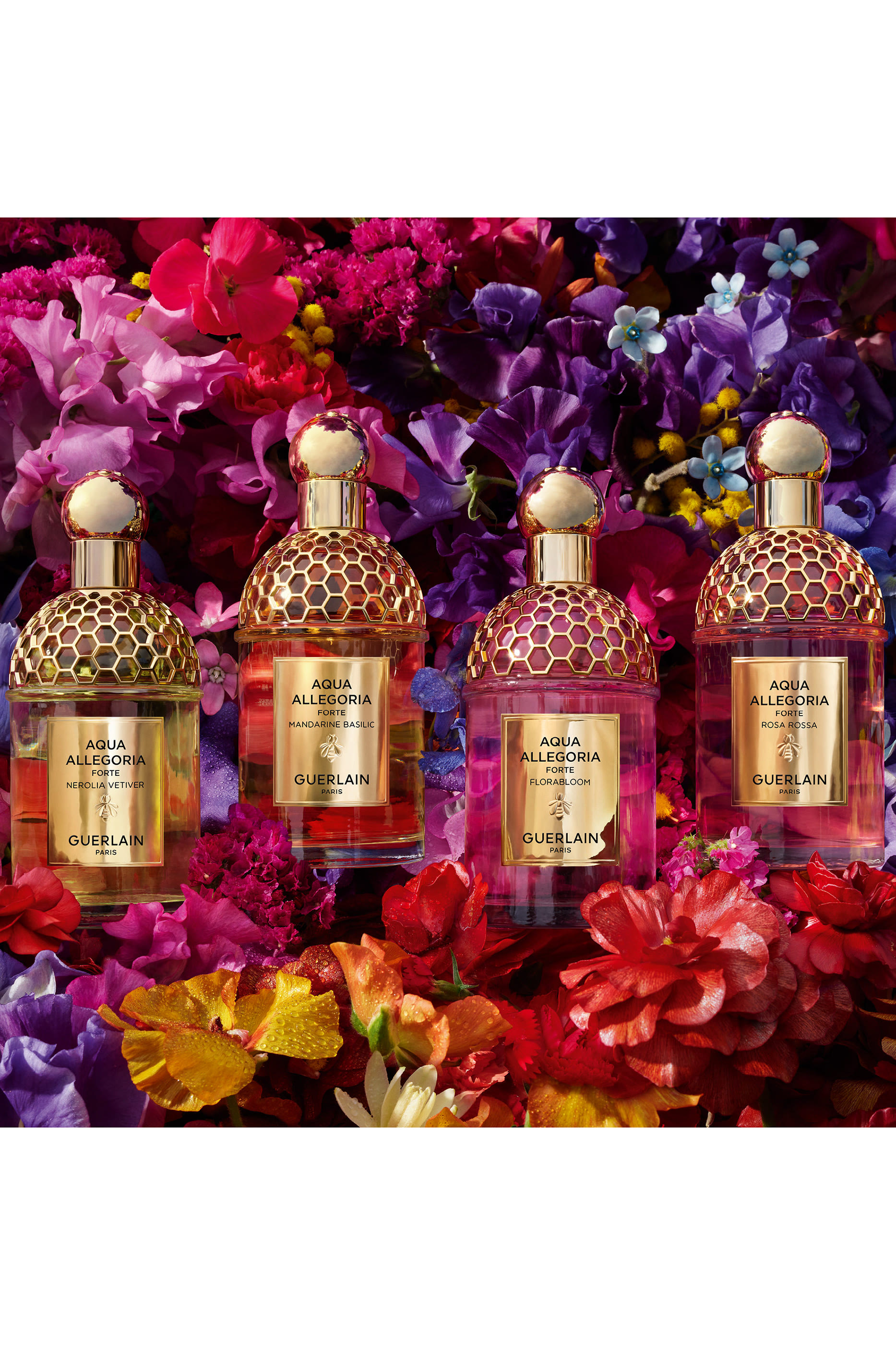 أو دو بارفان أكوا أليغوريا فلورابلوم فورت