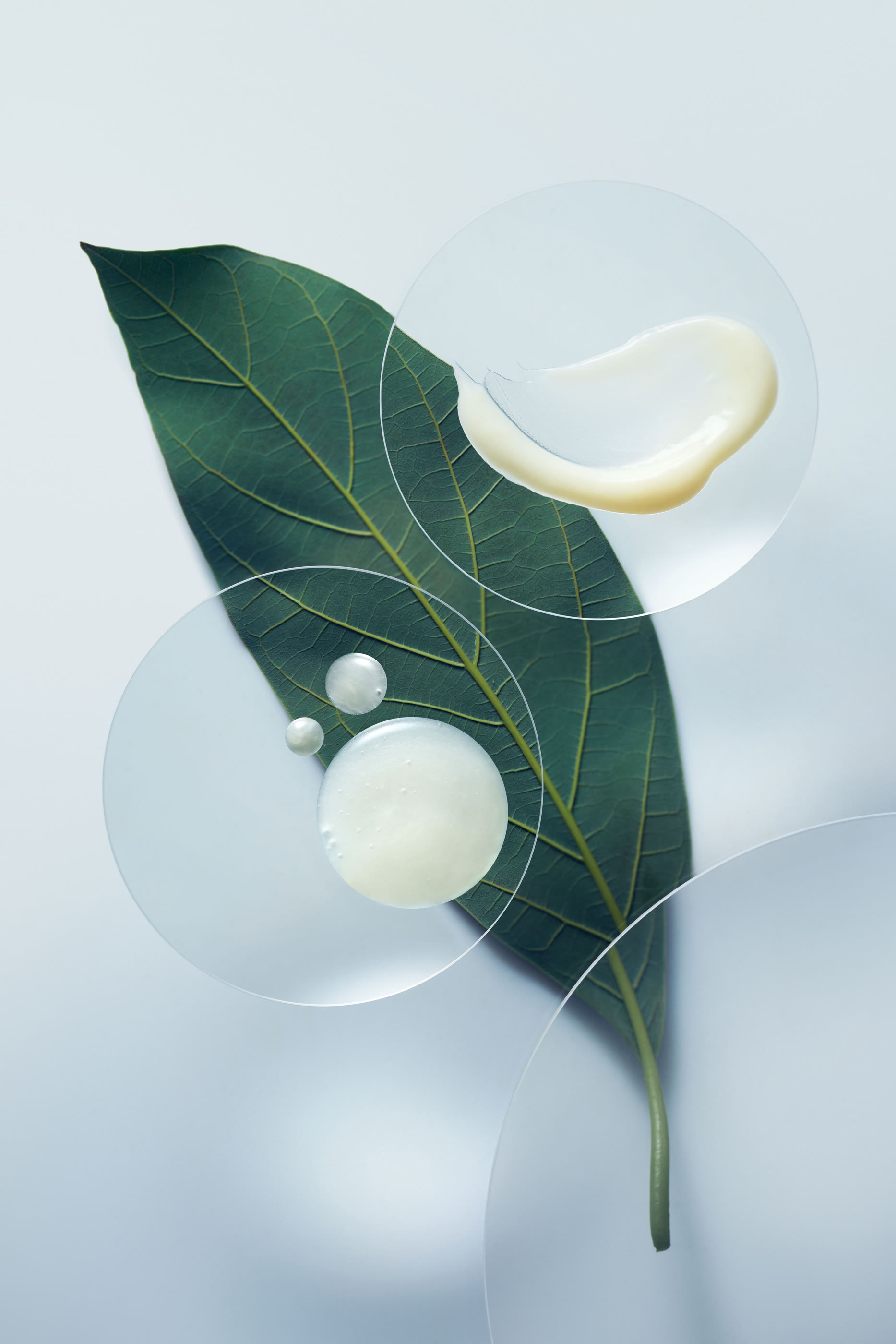 بلسم بوتانيكال ريبير لتقوية الشعر