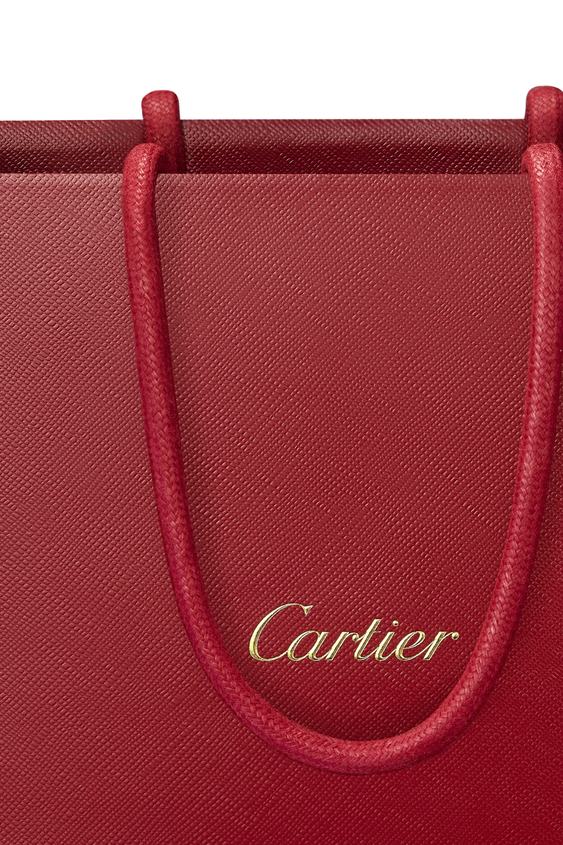 أو دو بارفان لي اور فوياجيسيس عود راديوكس