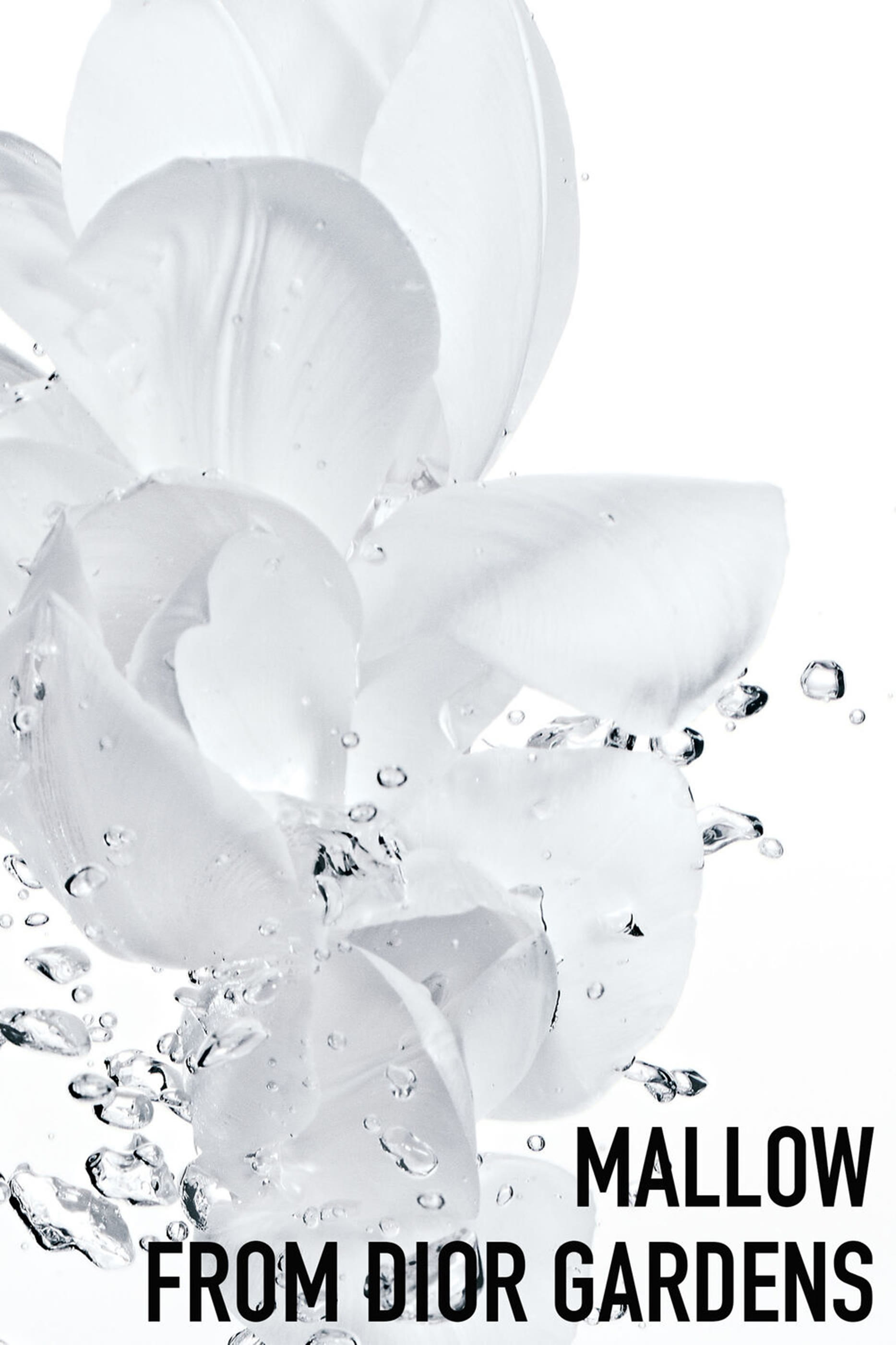 كريم سوربيه مركز هيدرا لايف