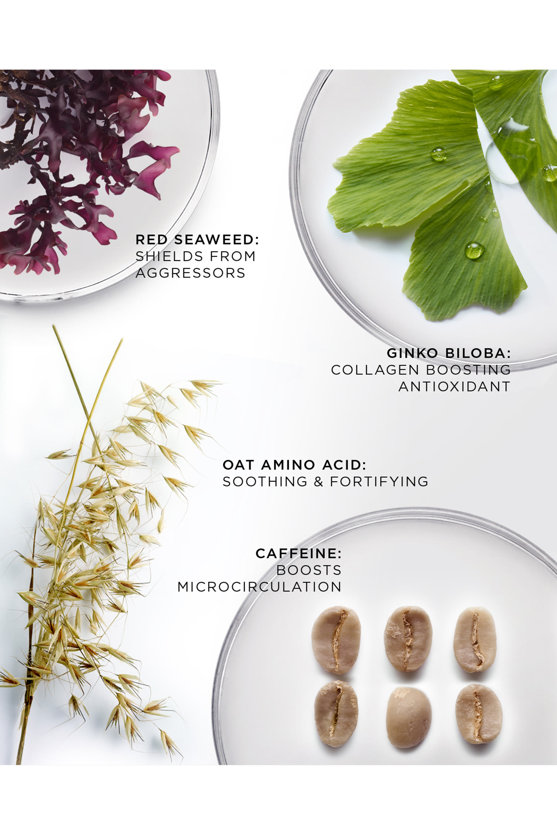 كريم العين بريليانت فايبرنت