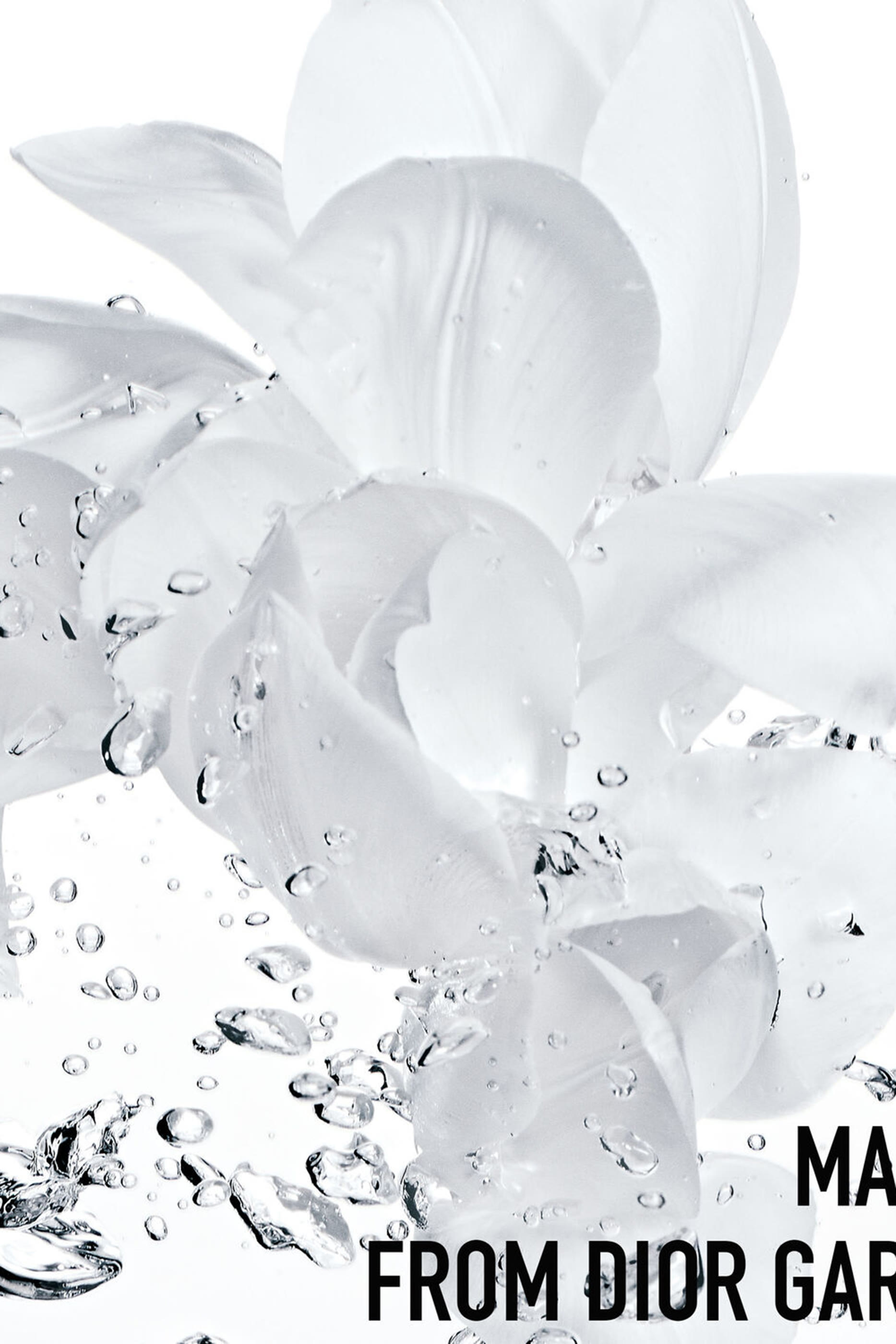 كريم سوربيه منعش ومرطب هيدرا لايف