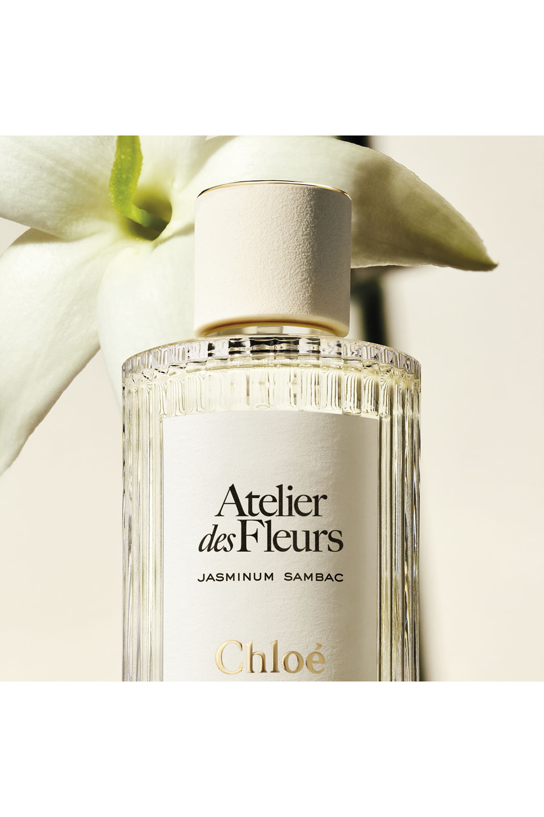 أو دو بارفان أتيليه دي فلورز ياسمينوم سامباك