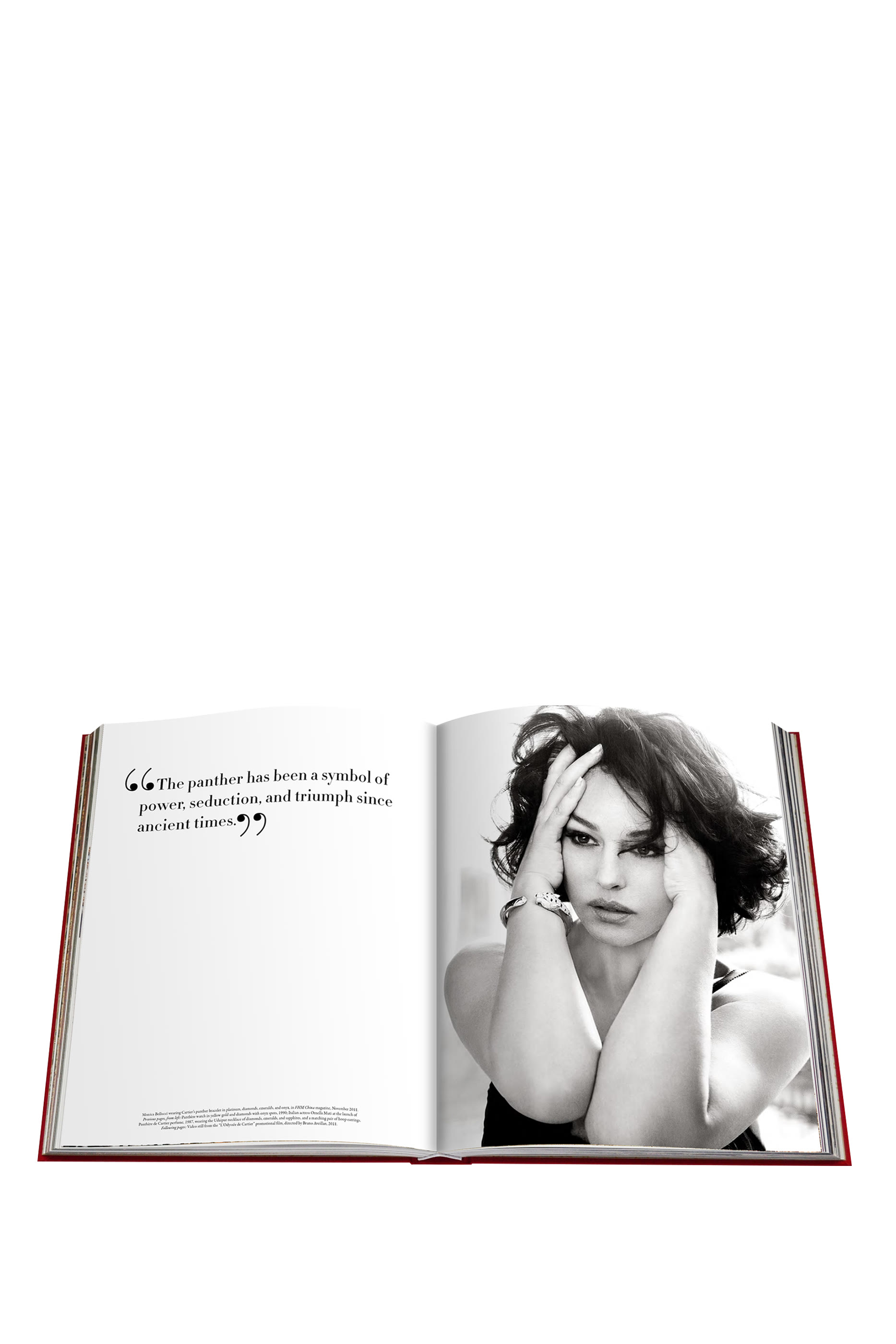 كتاب كارتييه بانتير